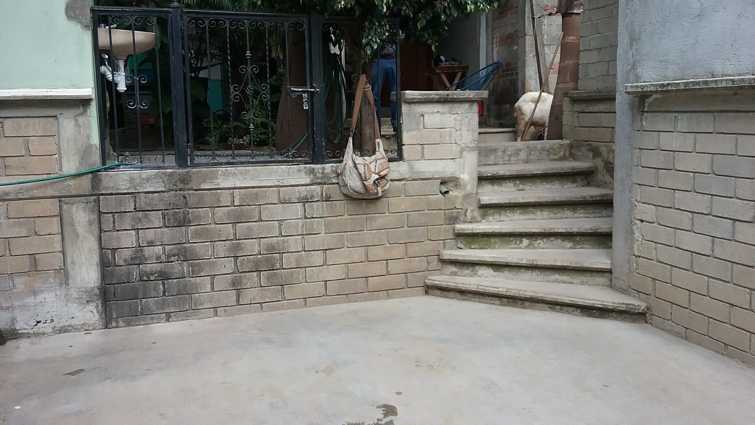 Salchicha la Delicia image 9