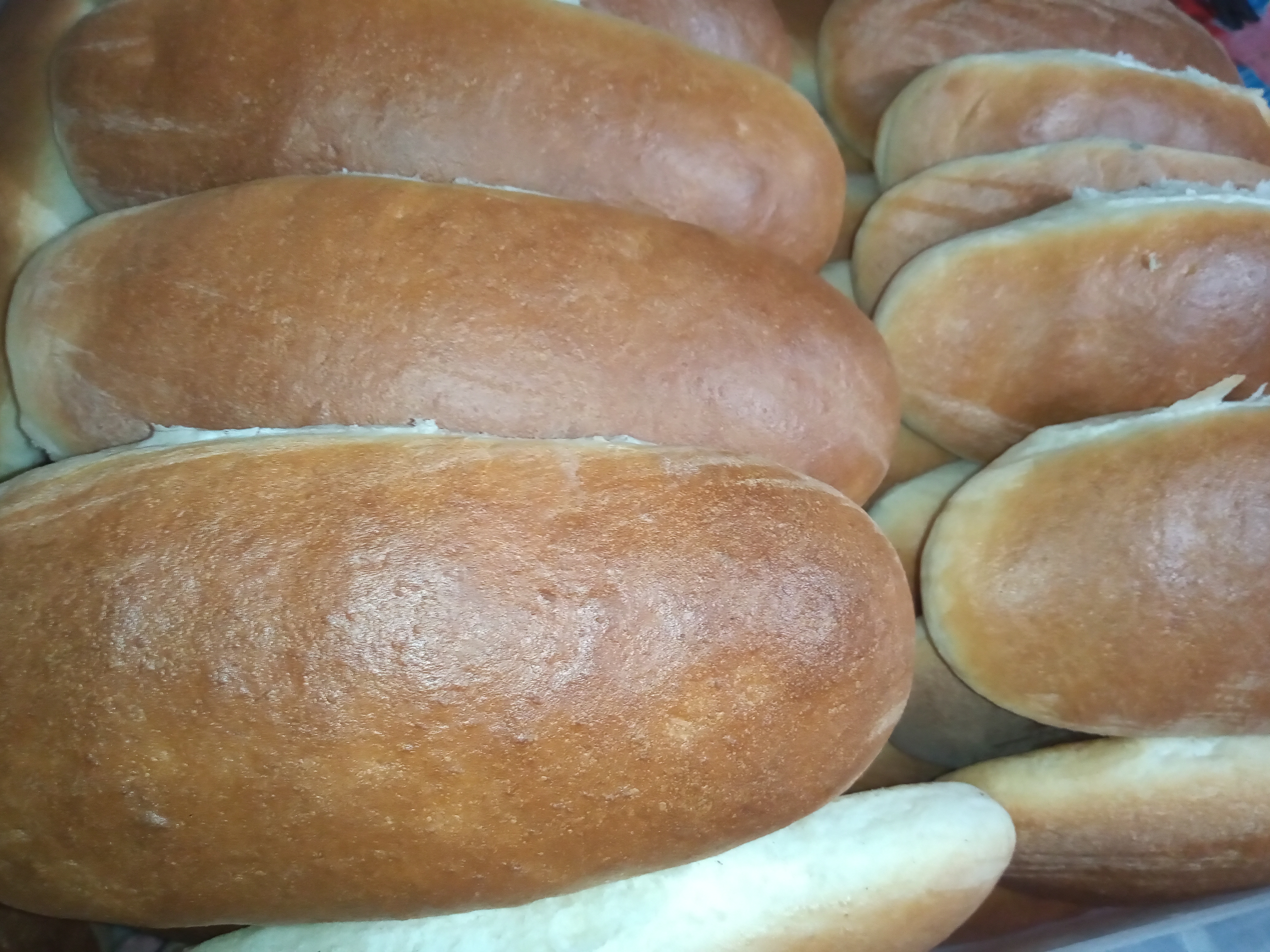 TortiRicas Ornelas image 7