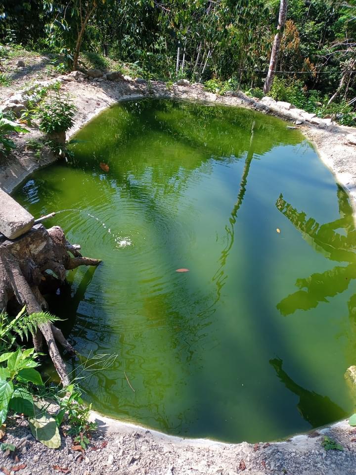 COMEDOR JUQUILITA image 3