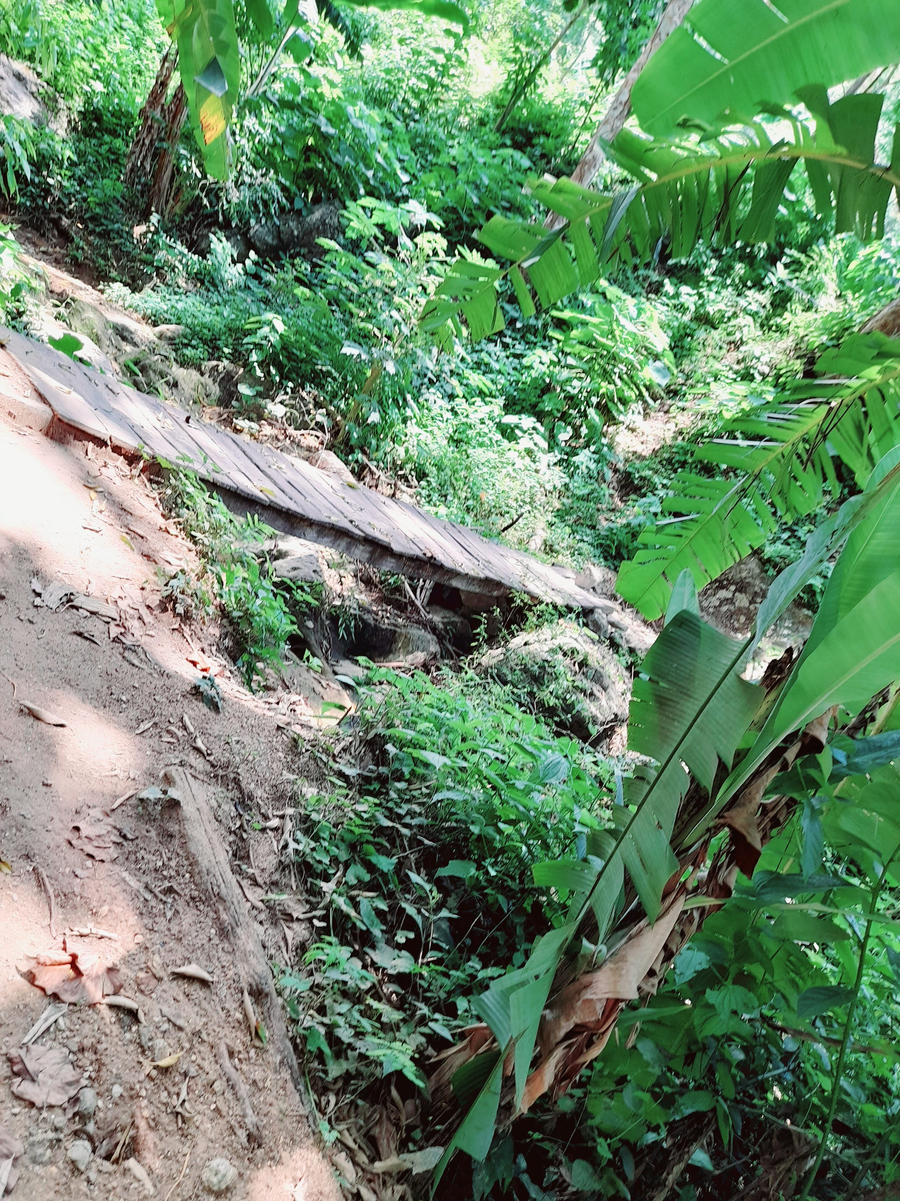 COMEDOR JUQUILITA image 7