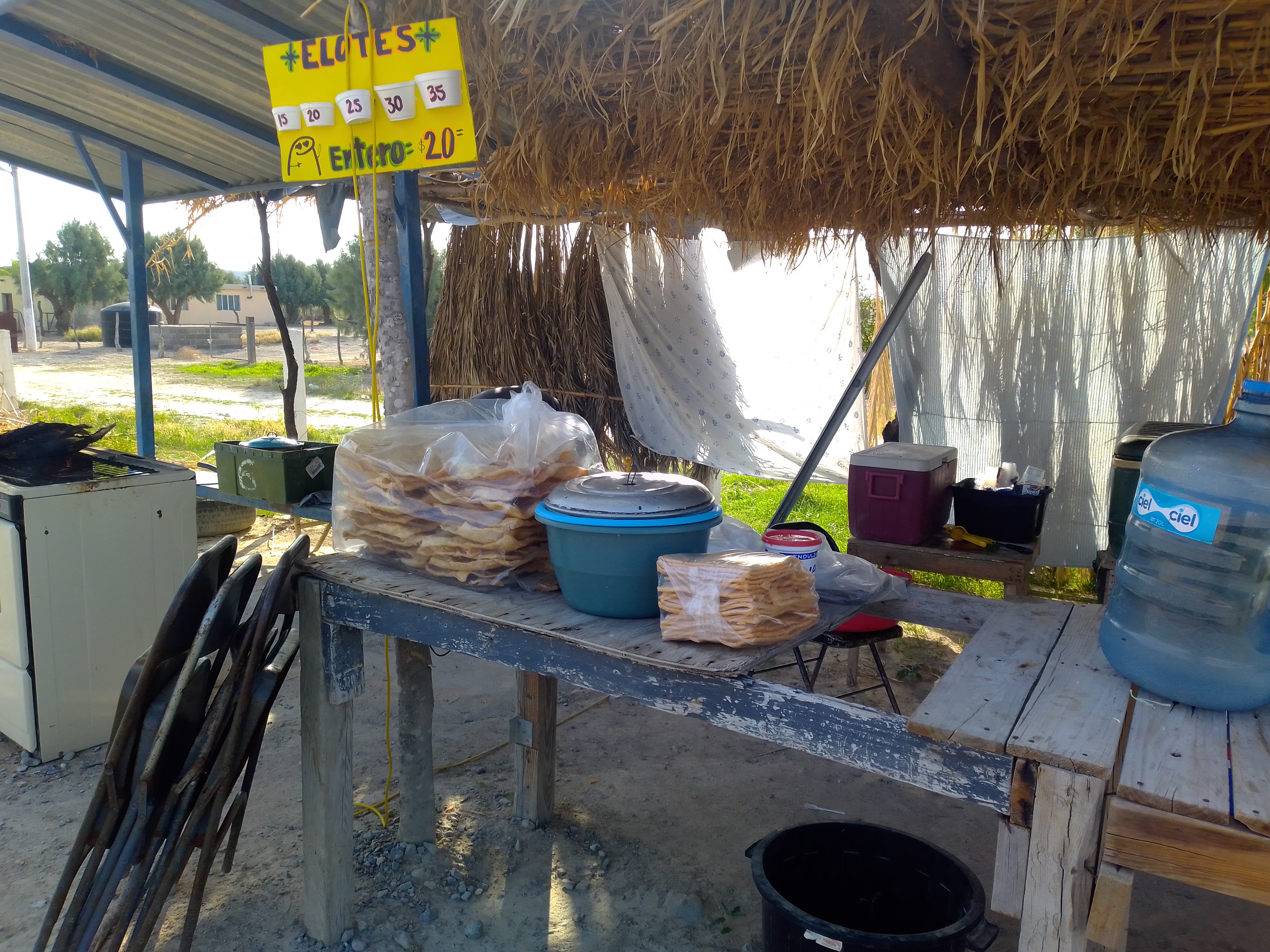 Elotes "El ranchito" image 2