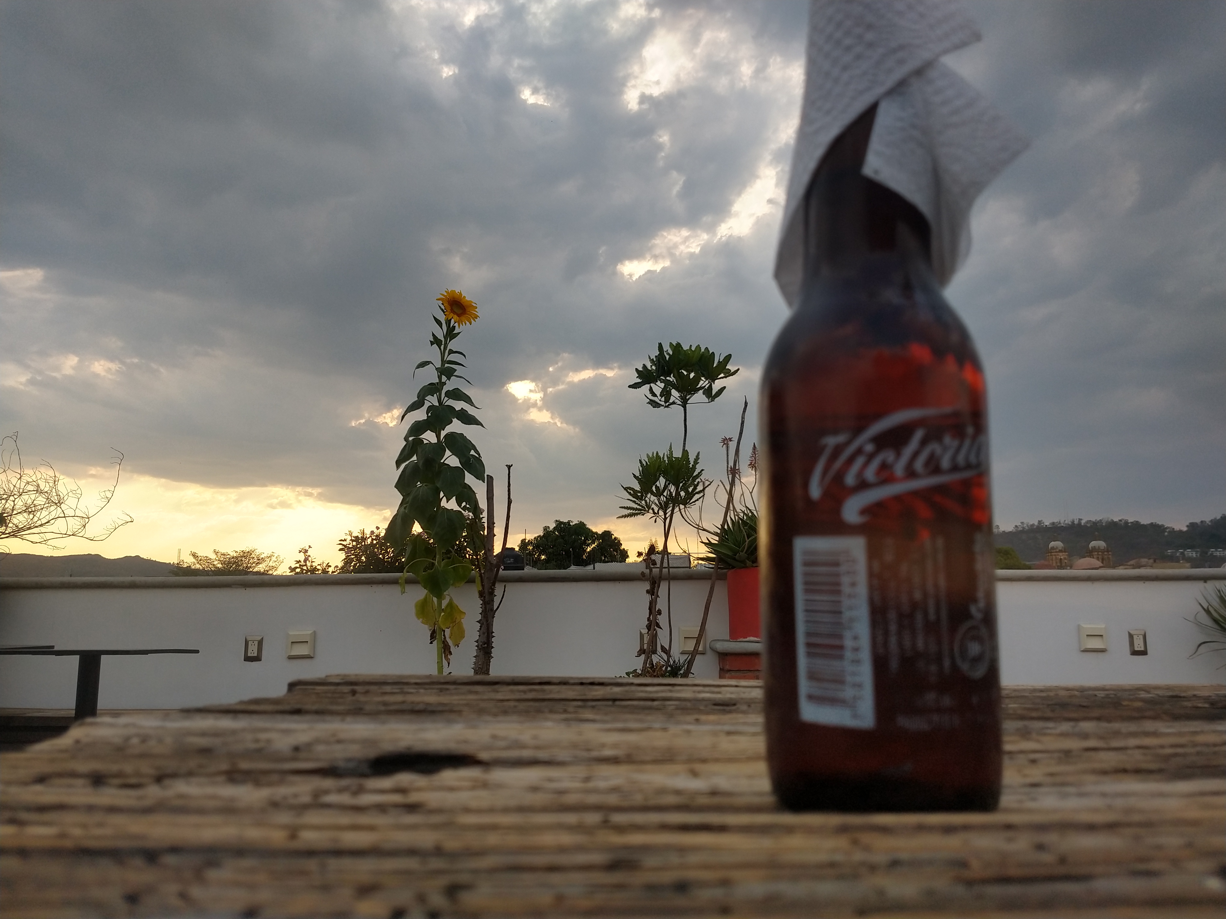 Comala restaurant image 8