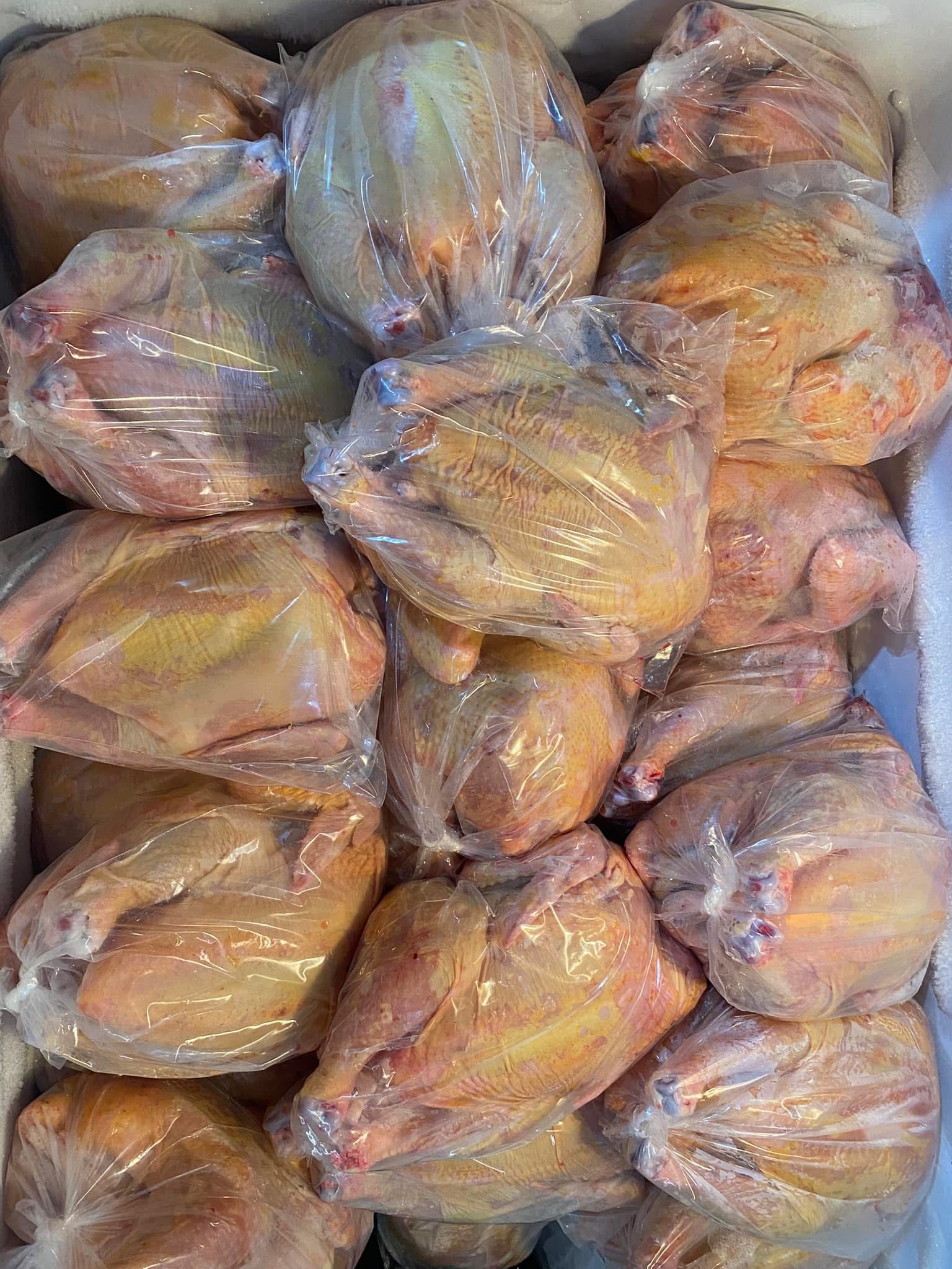 Mi ranchito “Chicken Farm” image 2