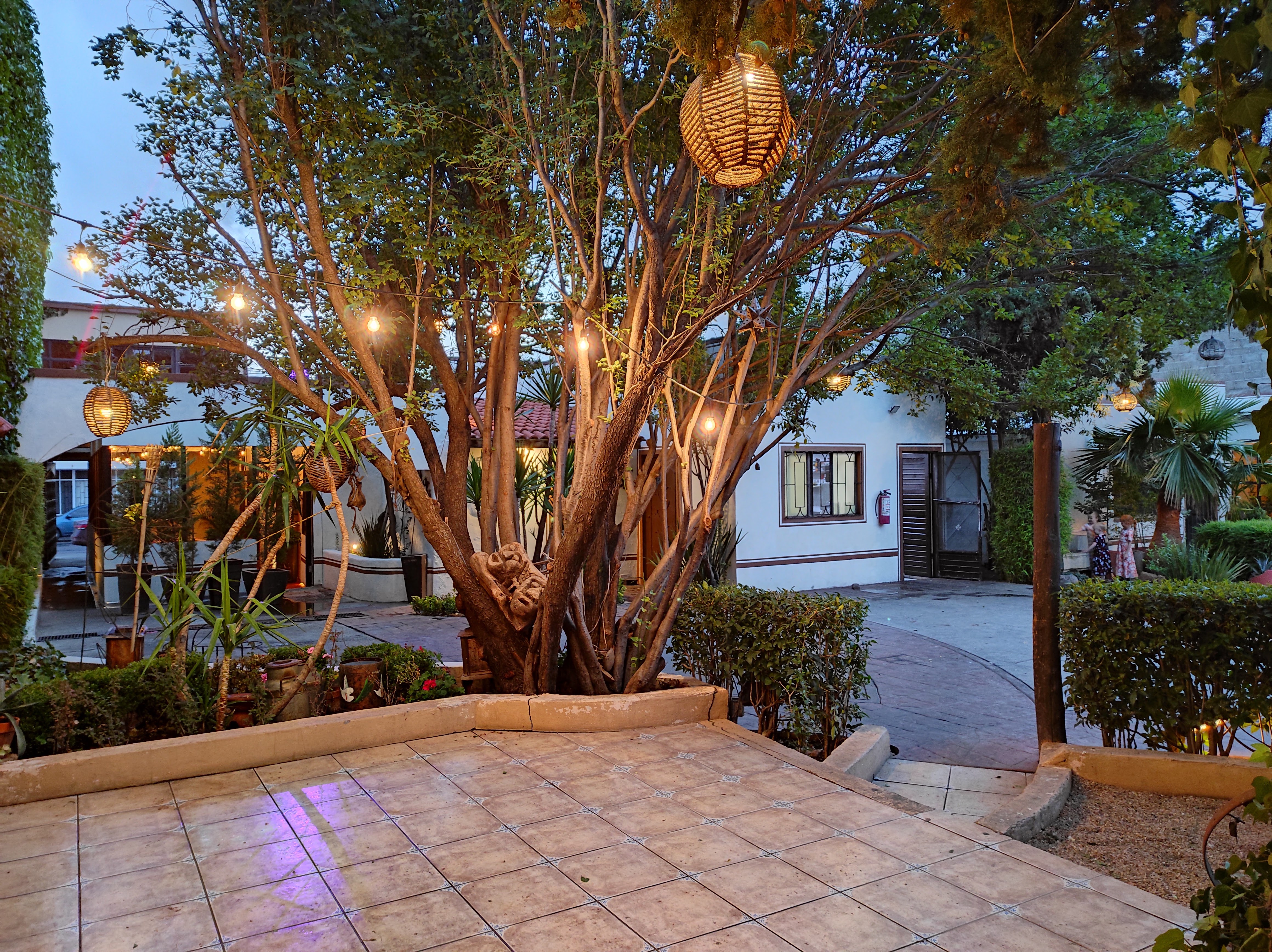 ST. CRUZ RESTAURANTE MAR & GRILL image 10