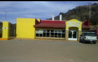 Gavilán Pollero image 2