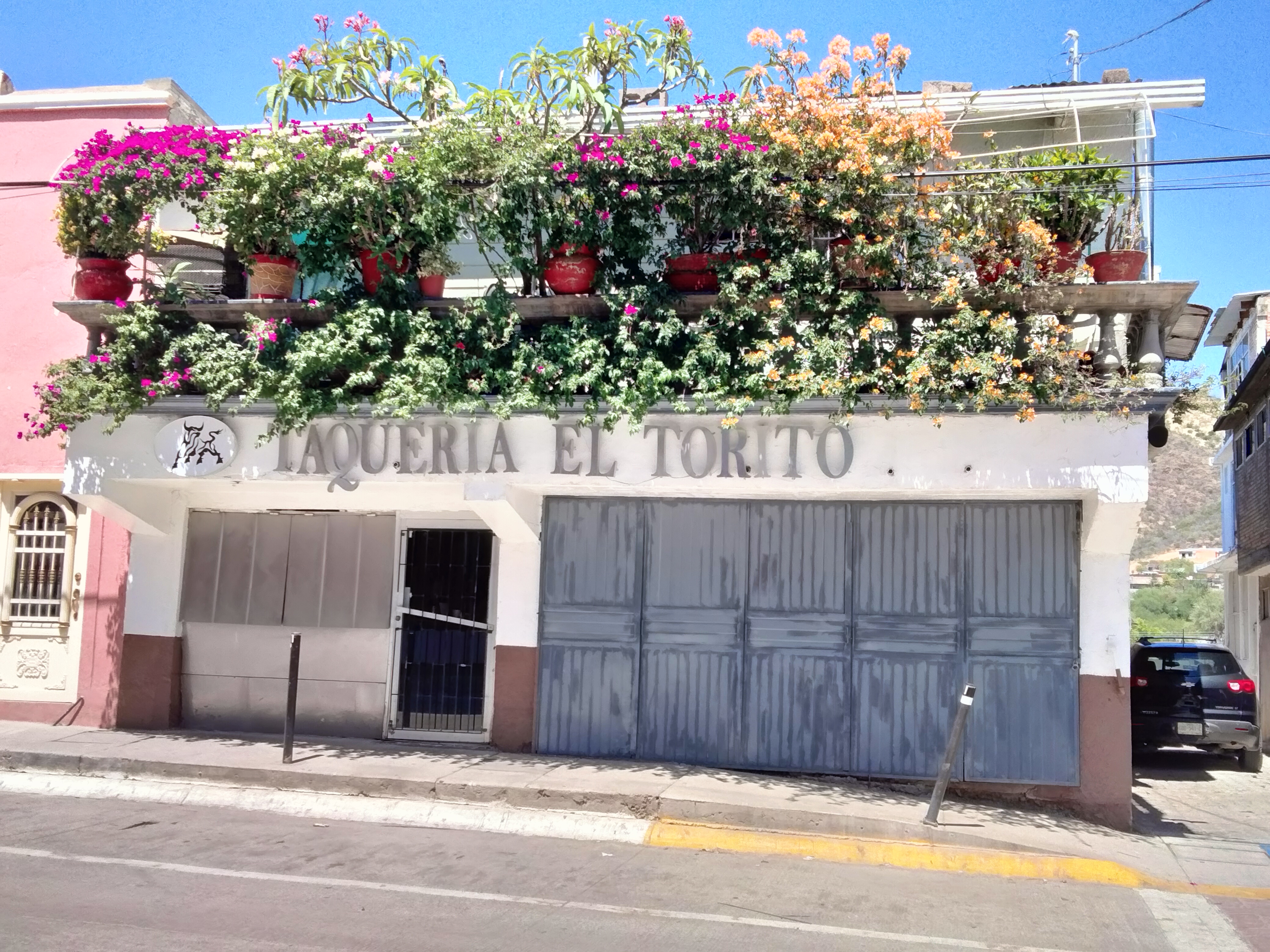 Taqueria El Torito image 1