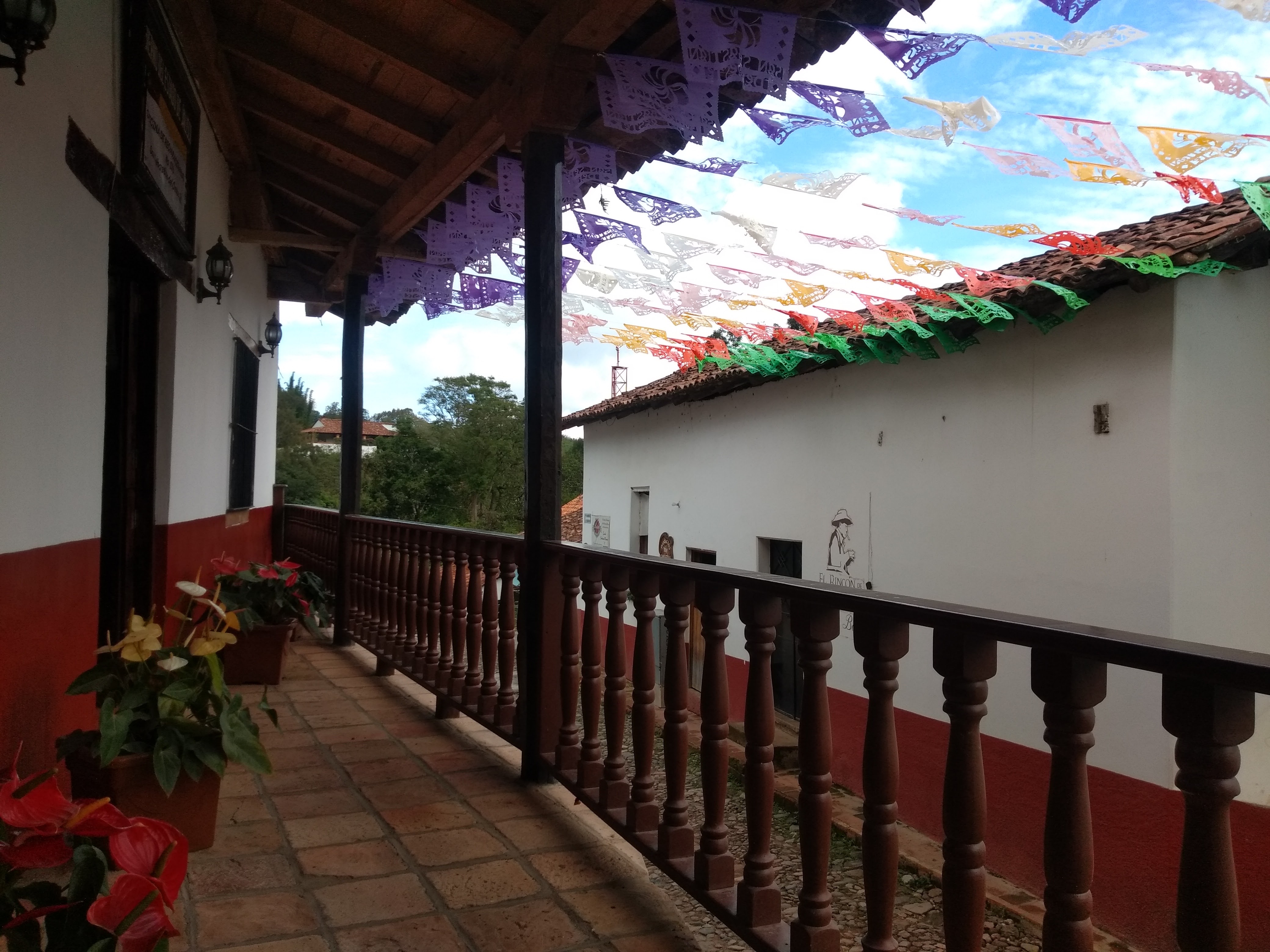 La flor de café image 1