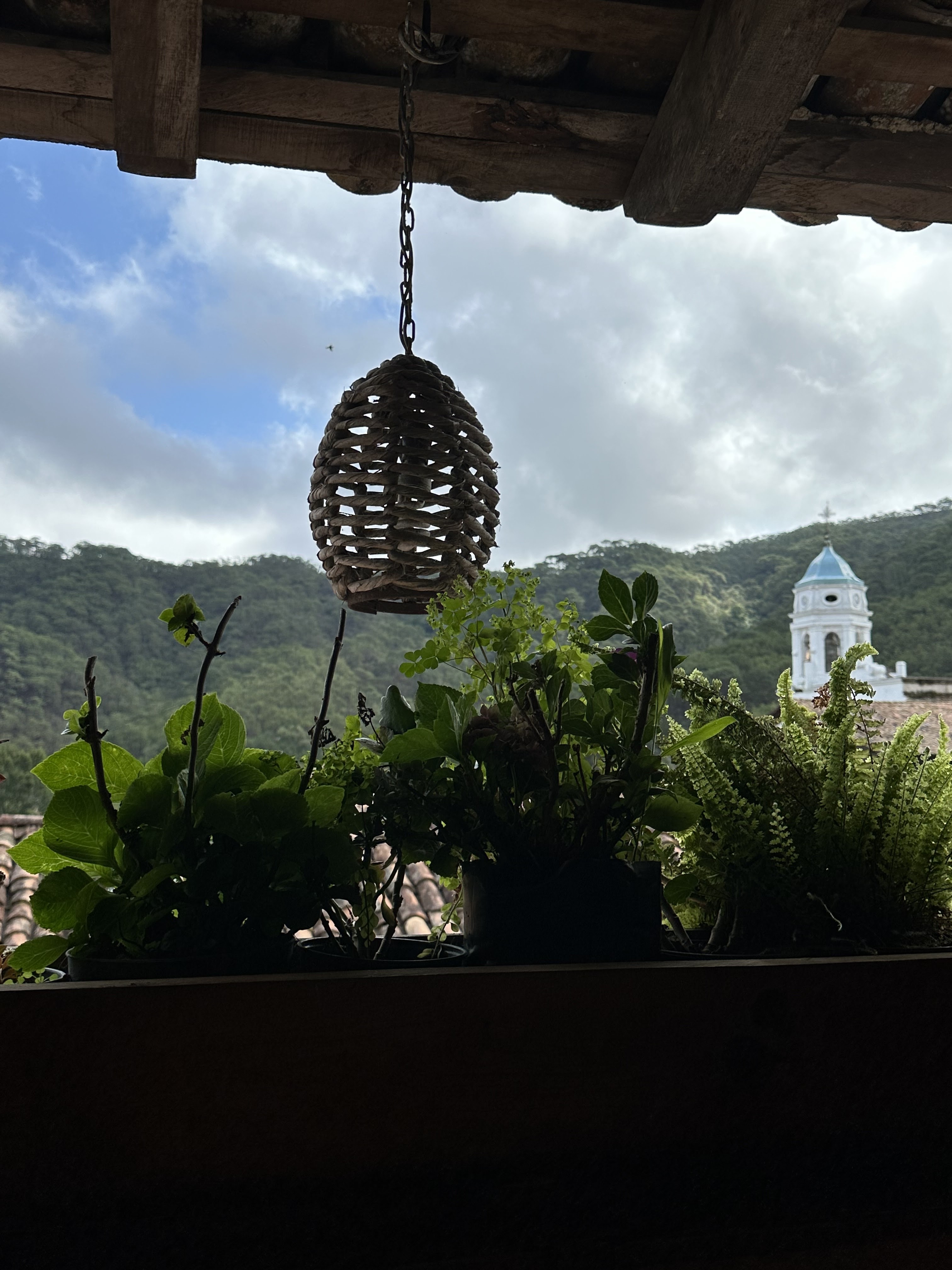 La flor de café image 3