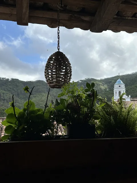 La flor de café image 3