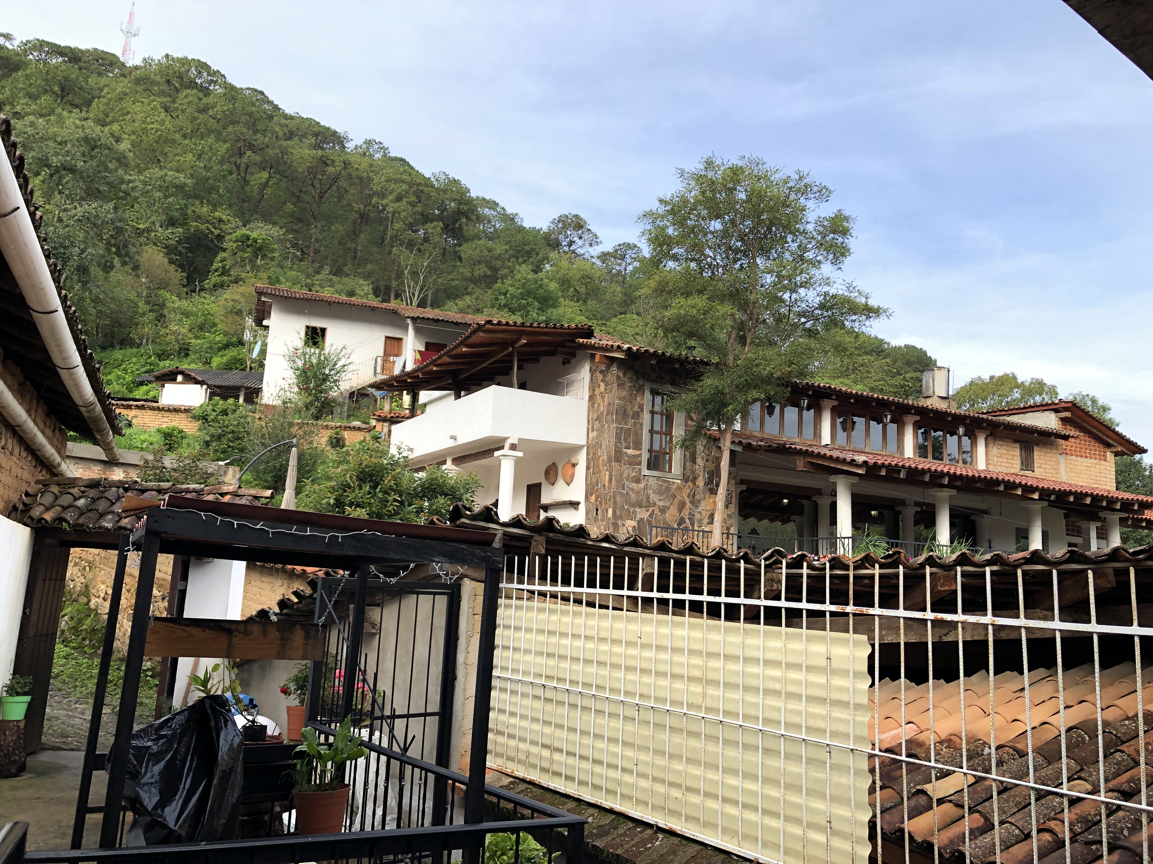 La flor de café image 5