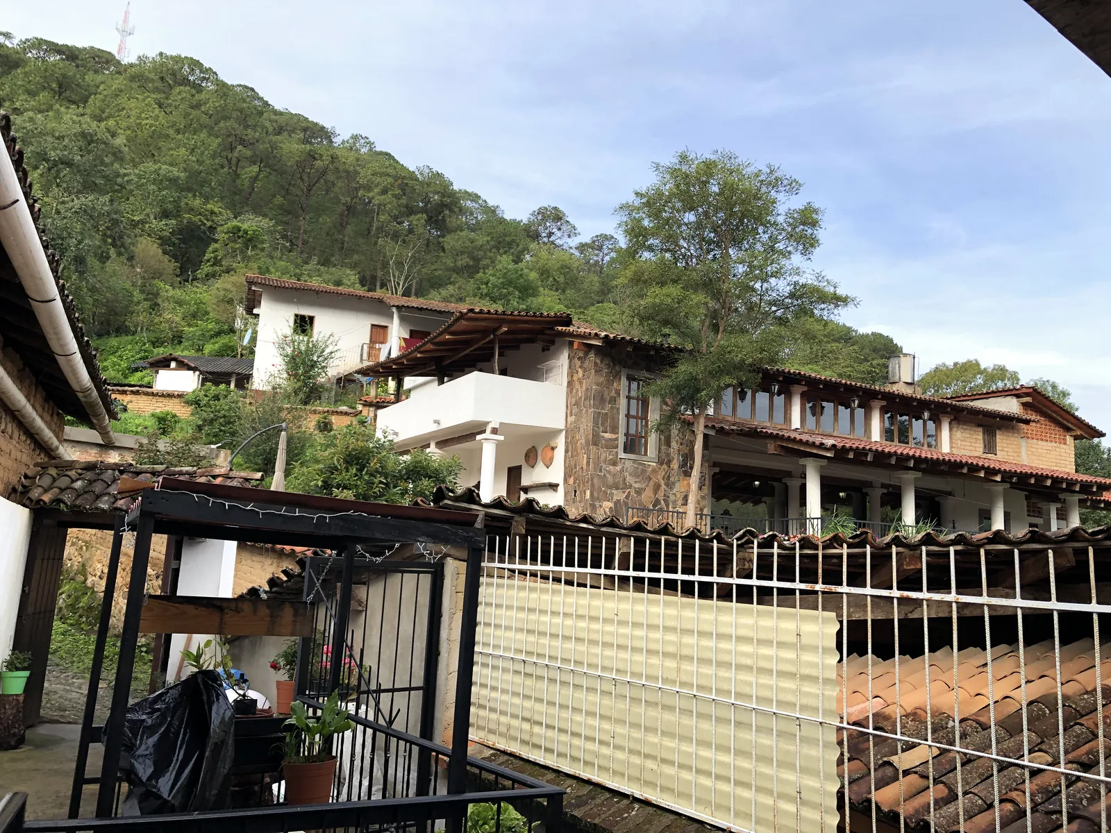 La flor de café image 5