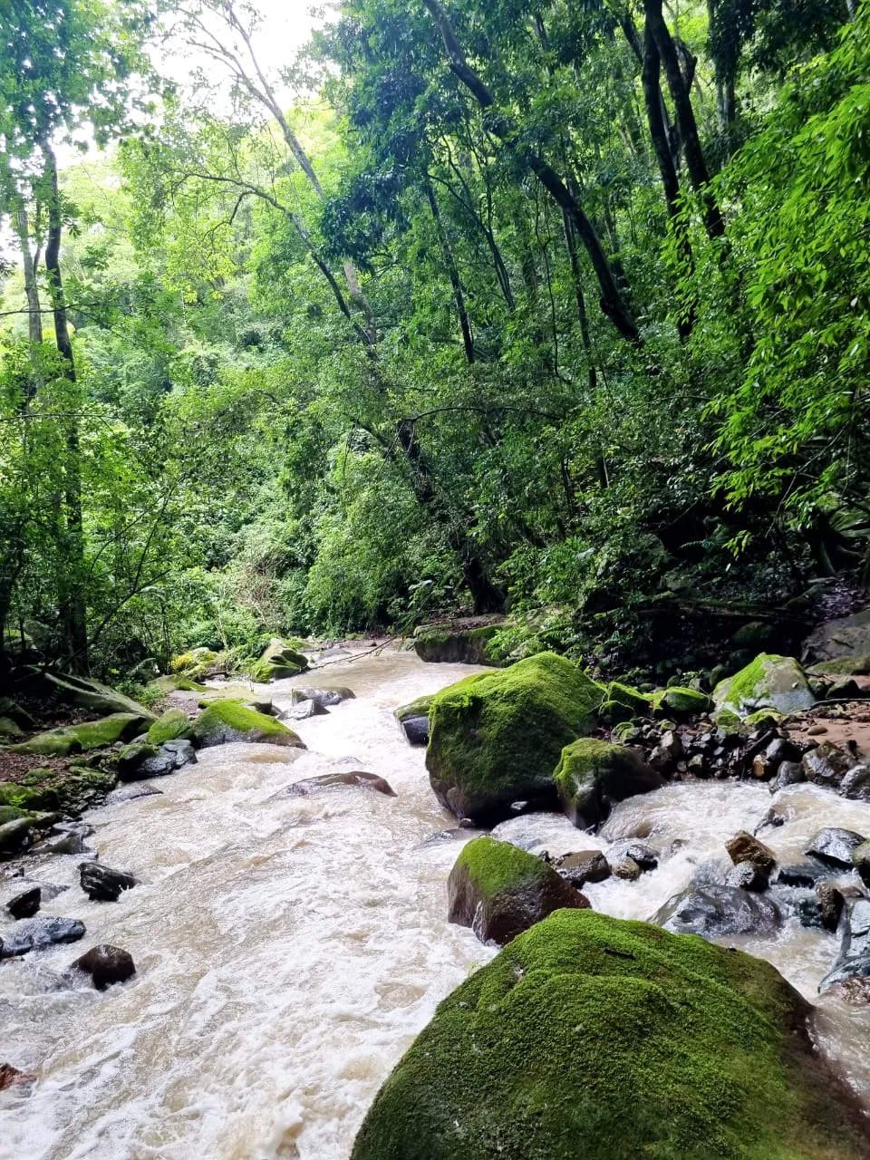 Rancho San Agustín Milpillas, Jalisco image 4