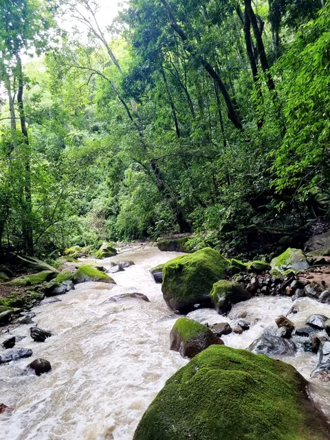 Rancho San Agustín Milpillas, Jalisco image 4