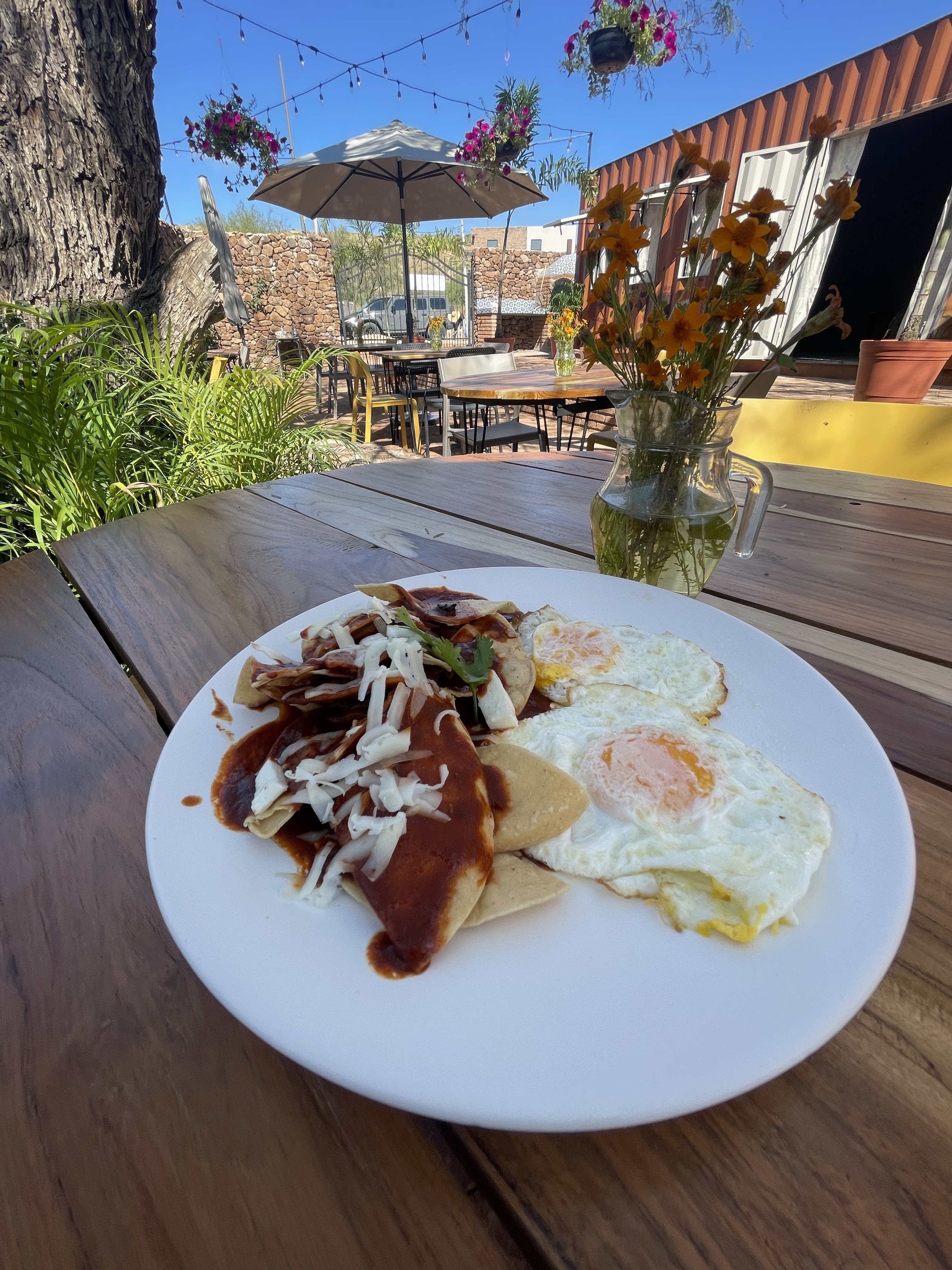 Cascabel Comedor Ranchero image 2