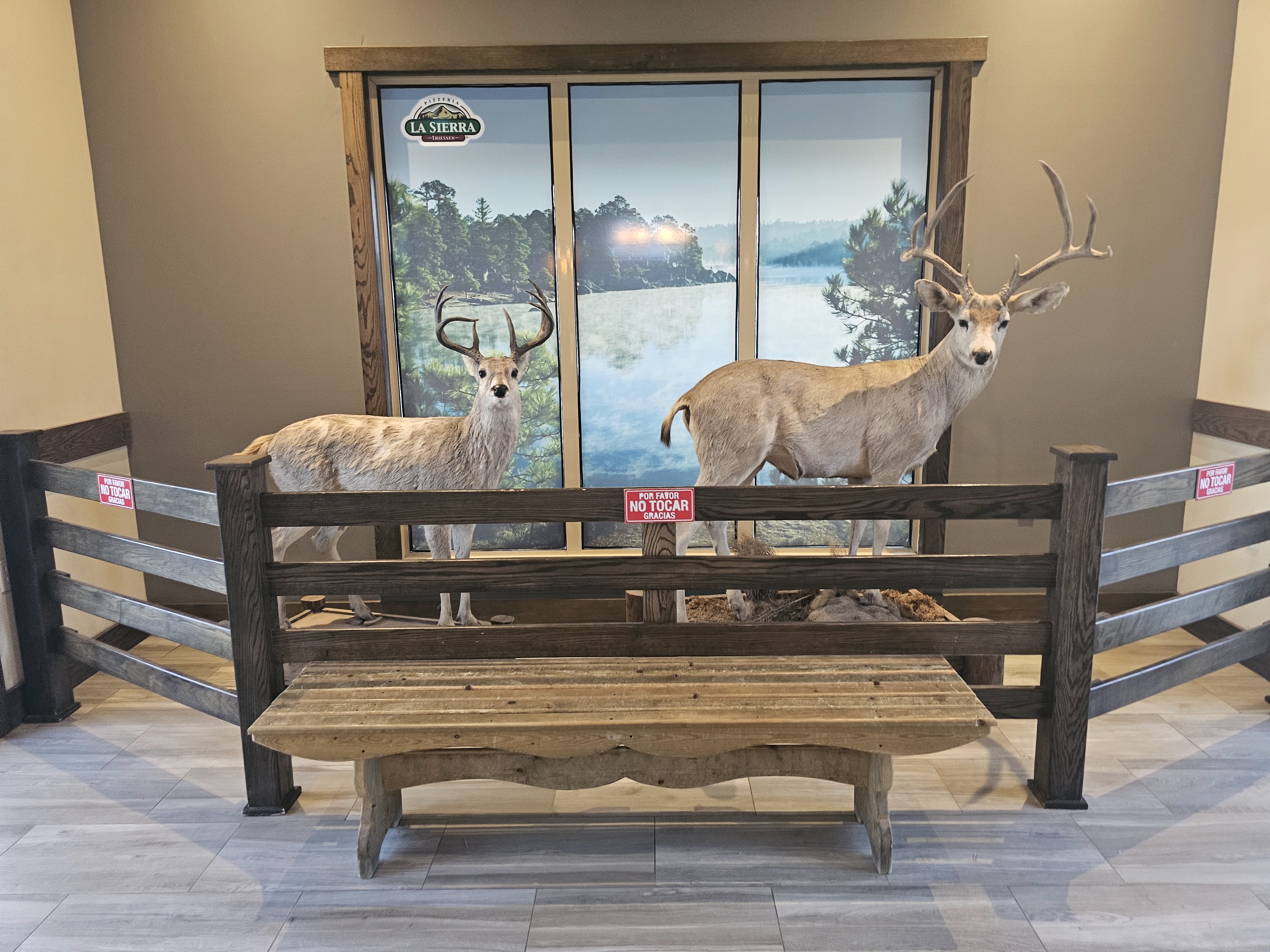 Pizzeria La Sierra image 5