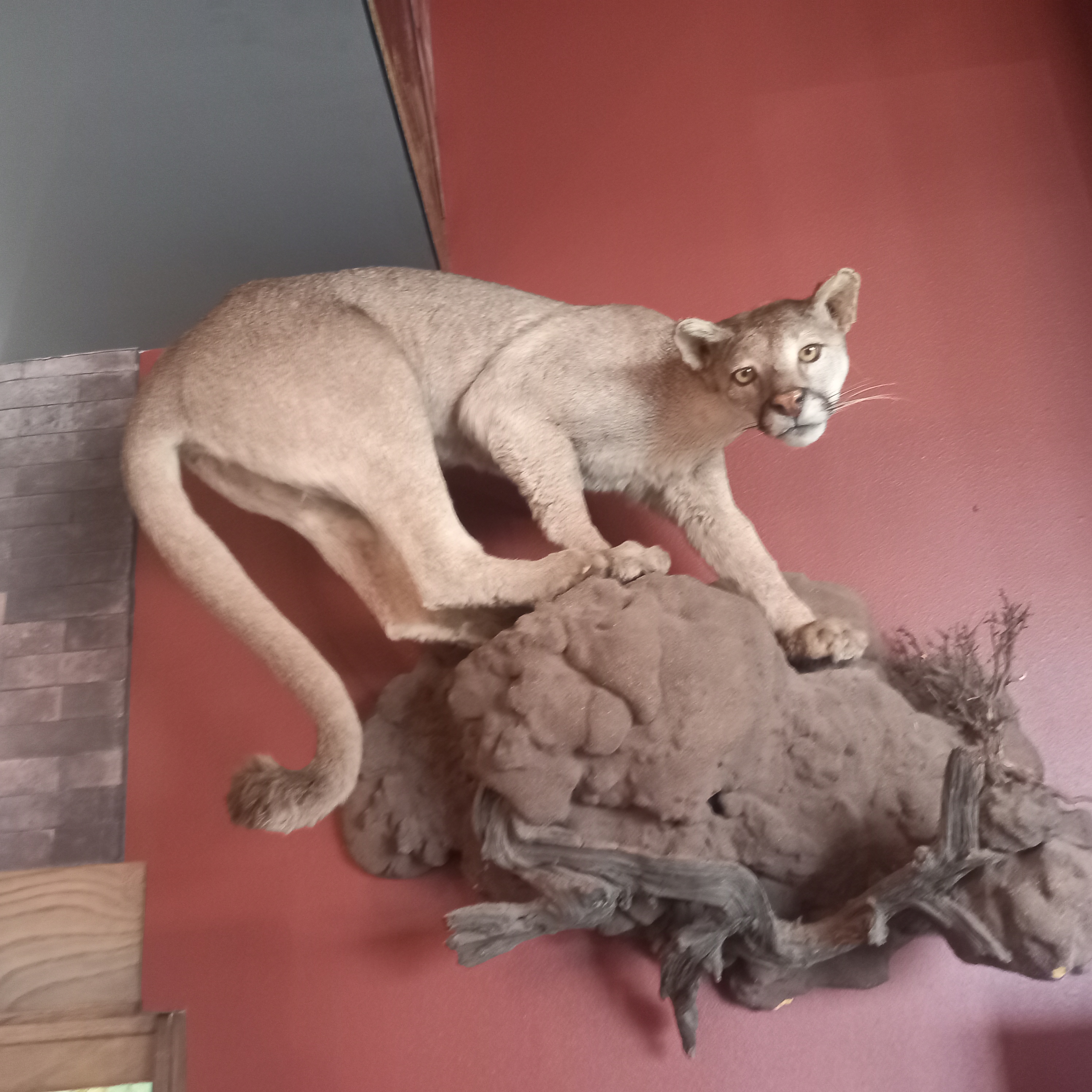 Pizzeria La Sierra image 9