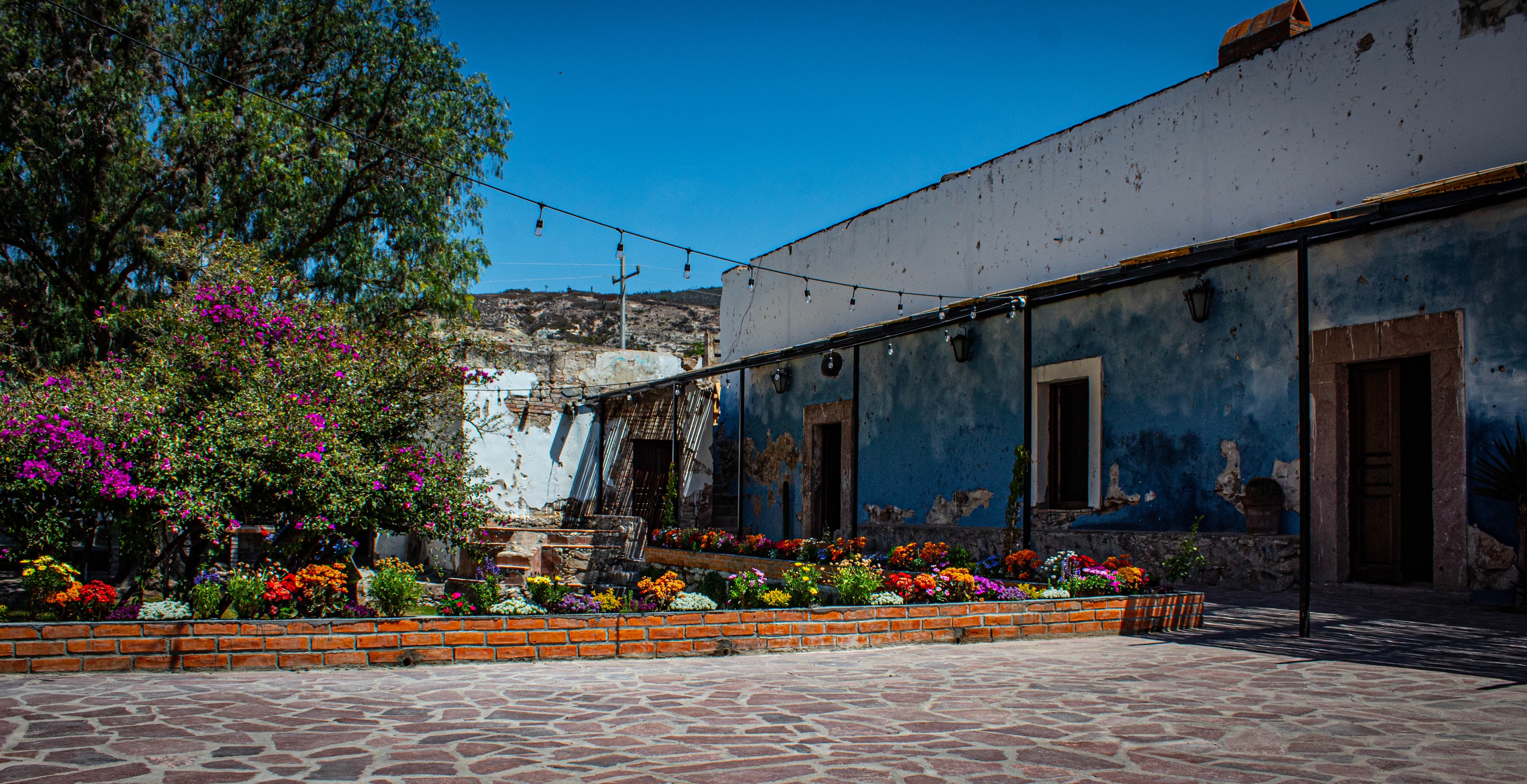 Hacienda Jazmines image 4