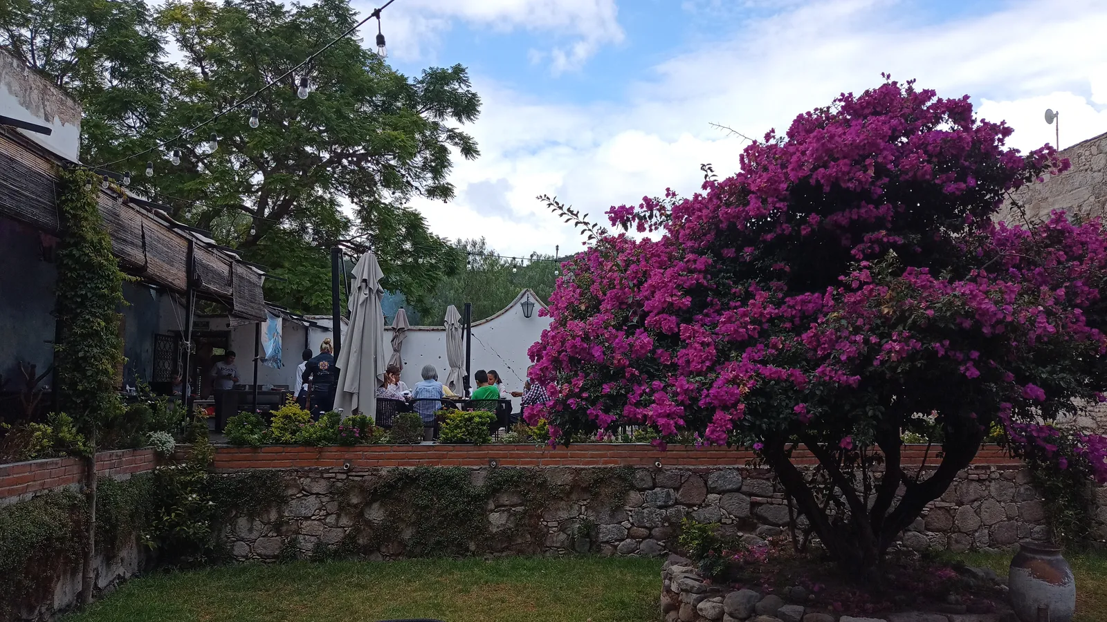 Hacienda Jazmines image 9
