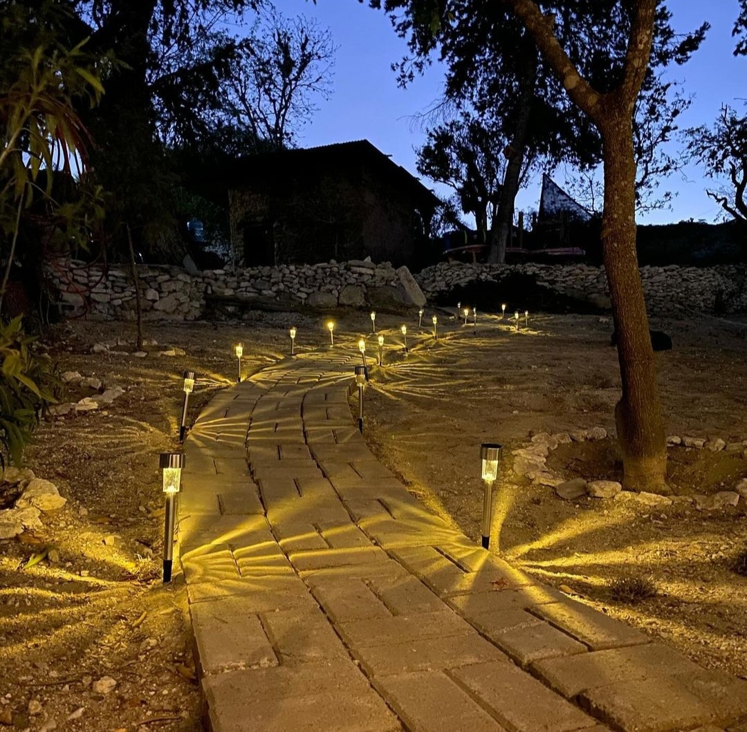 Ayotochtli Cerveceria image 2