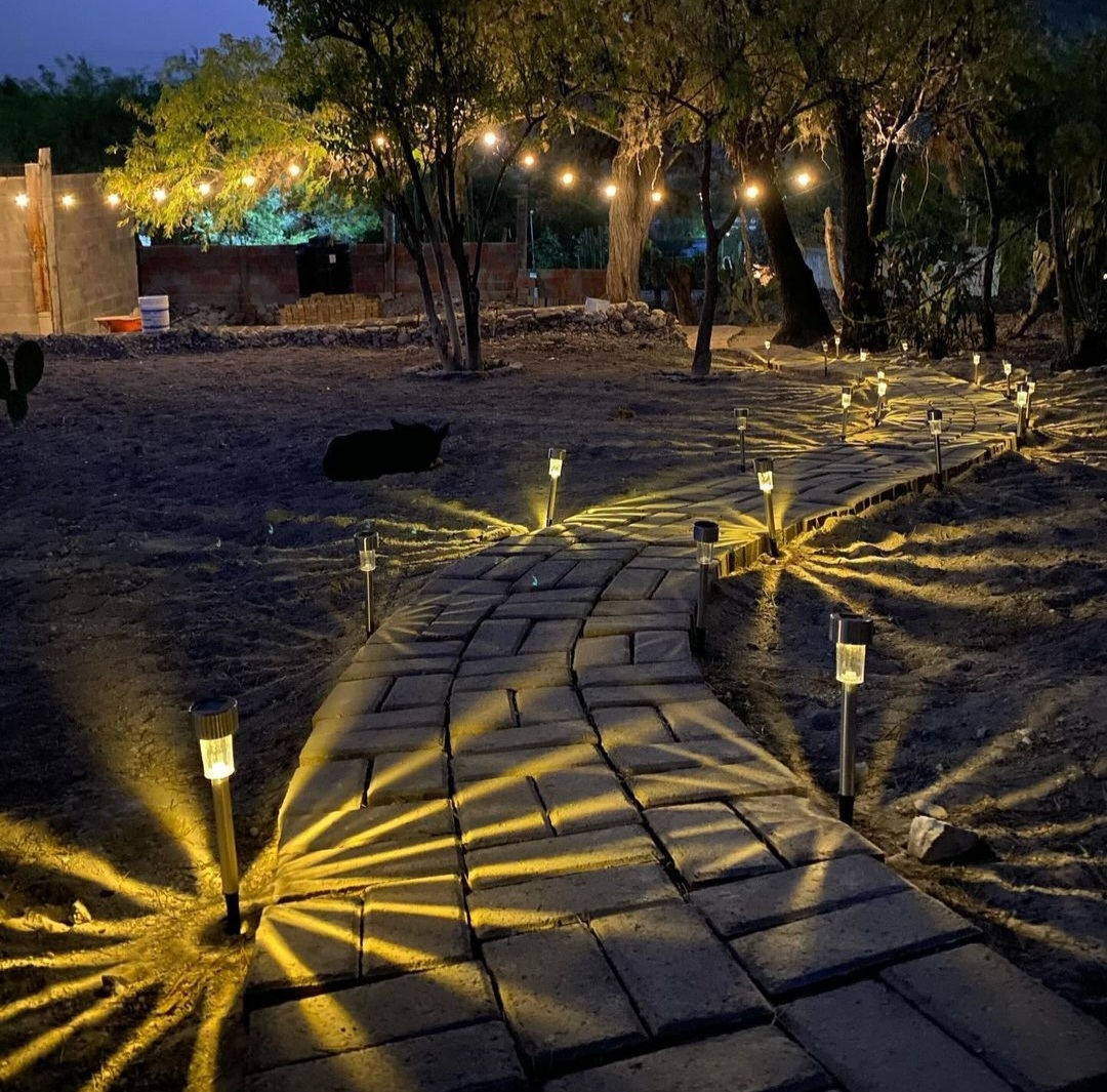 Ayotochtli Cerveceria image 9