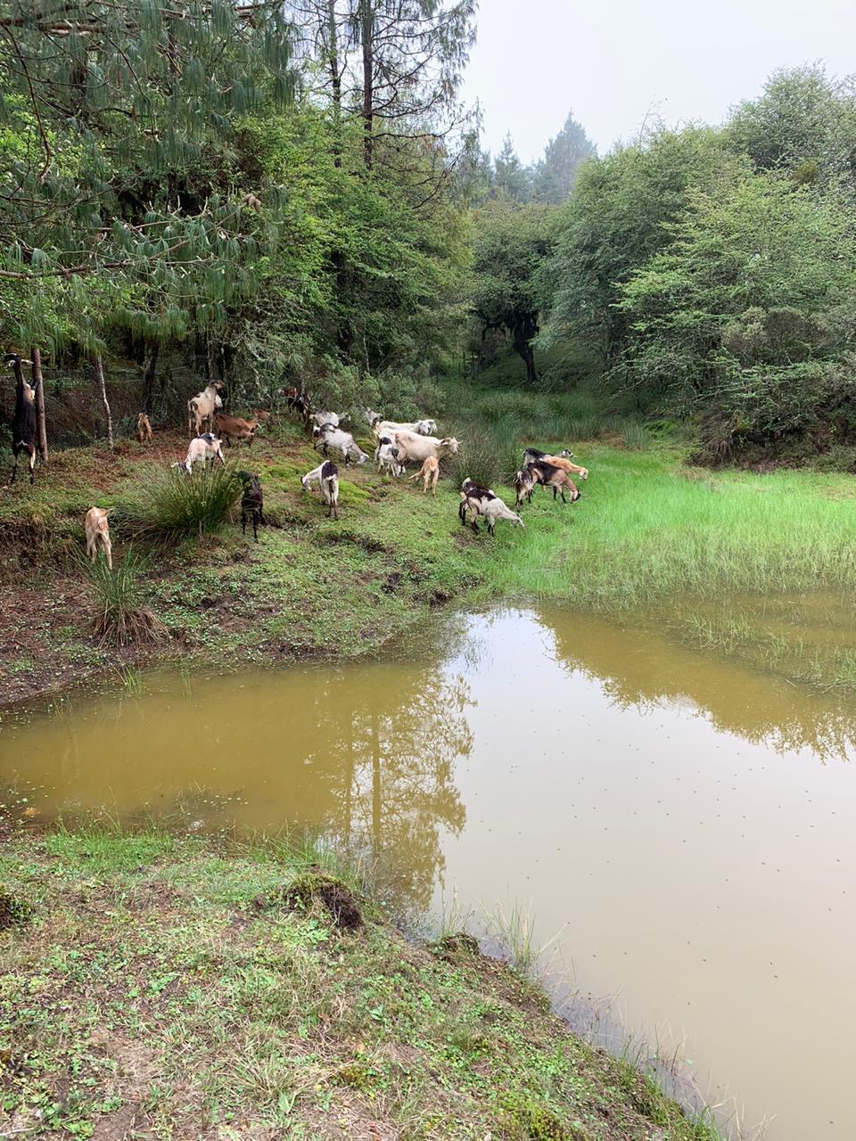 UN PASEO POR LAS NUBES image 3