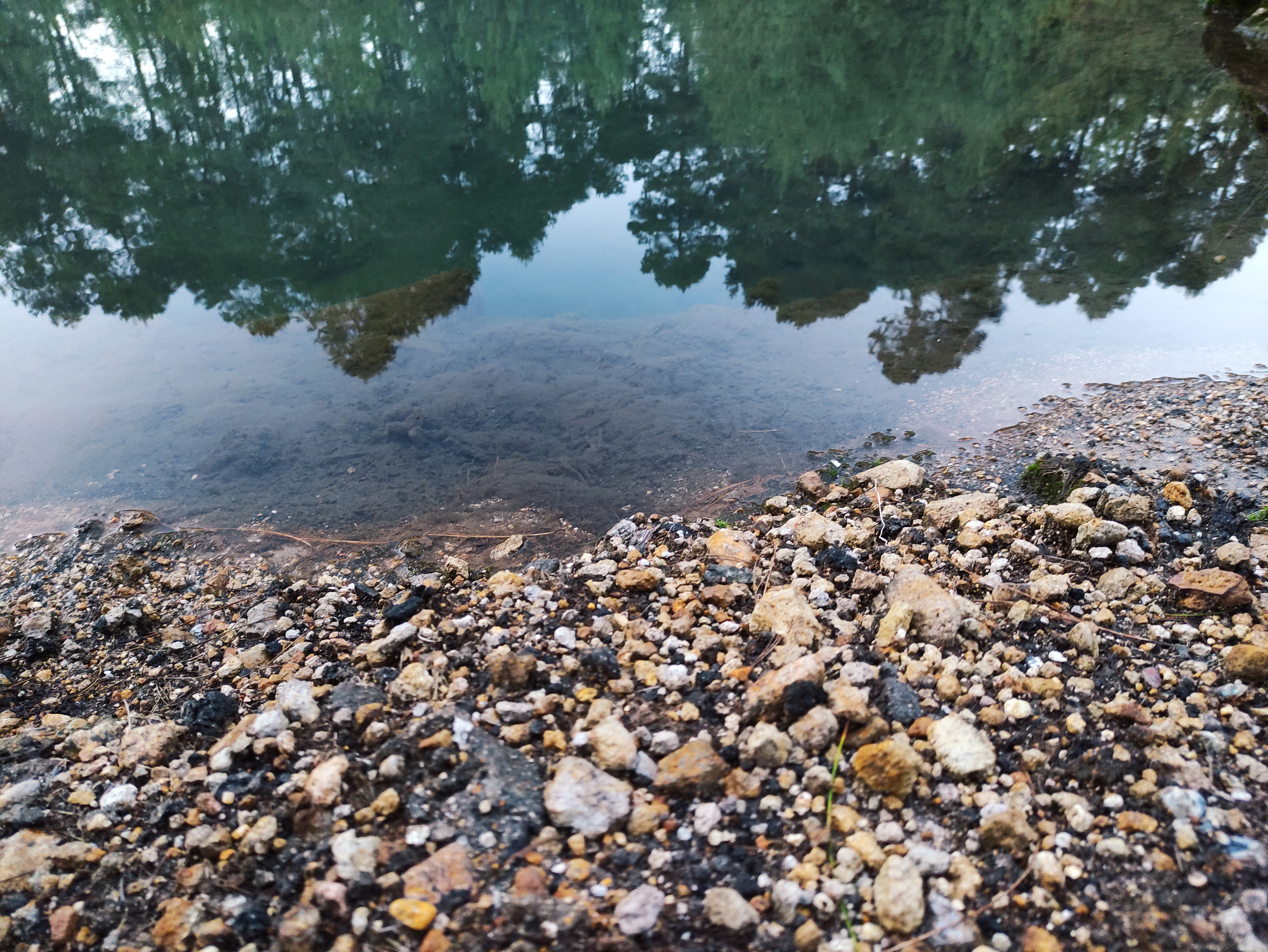 UN PASEO POR LAS NUBES image 5