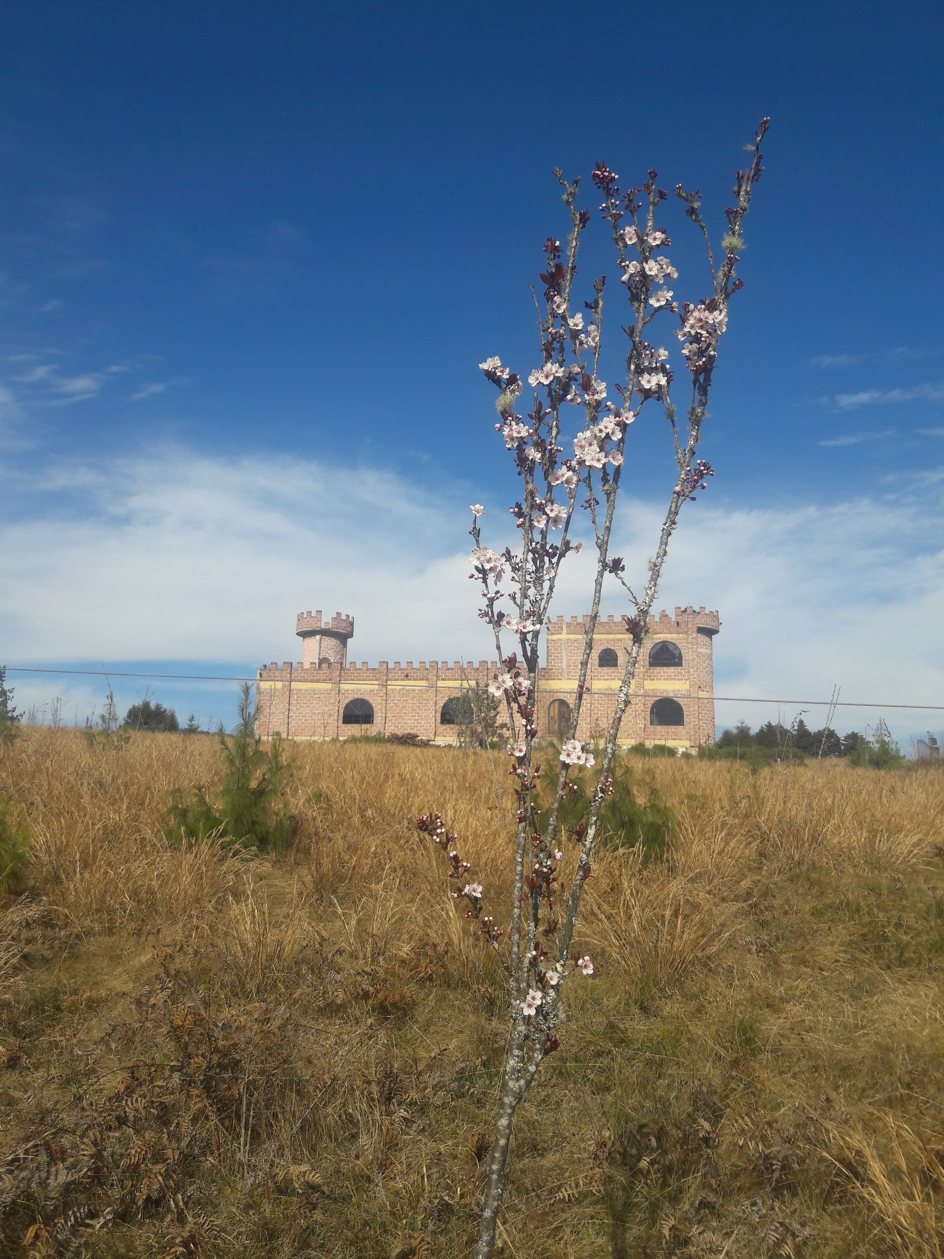 UN PASEO POR LAS NUBES image 6