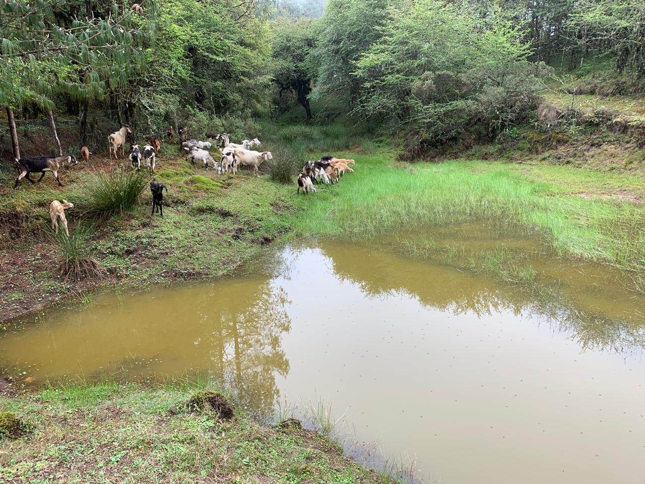 UN PASEO POR LAS NUBES image 9