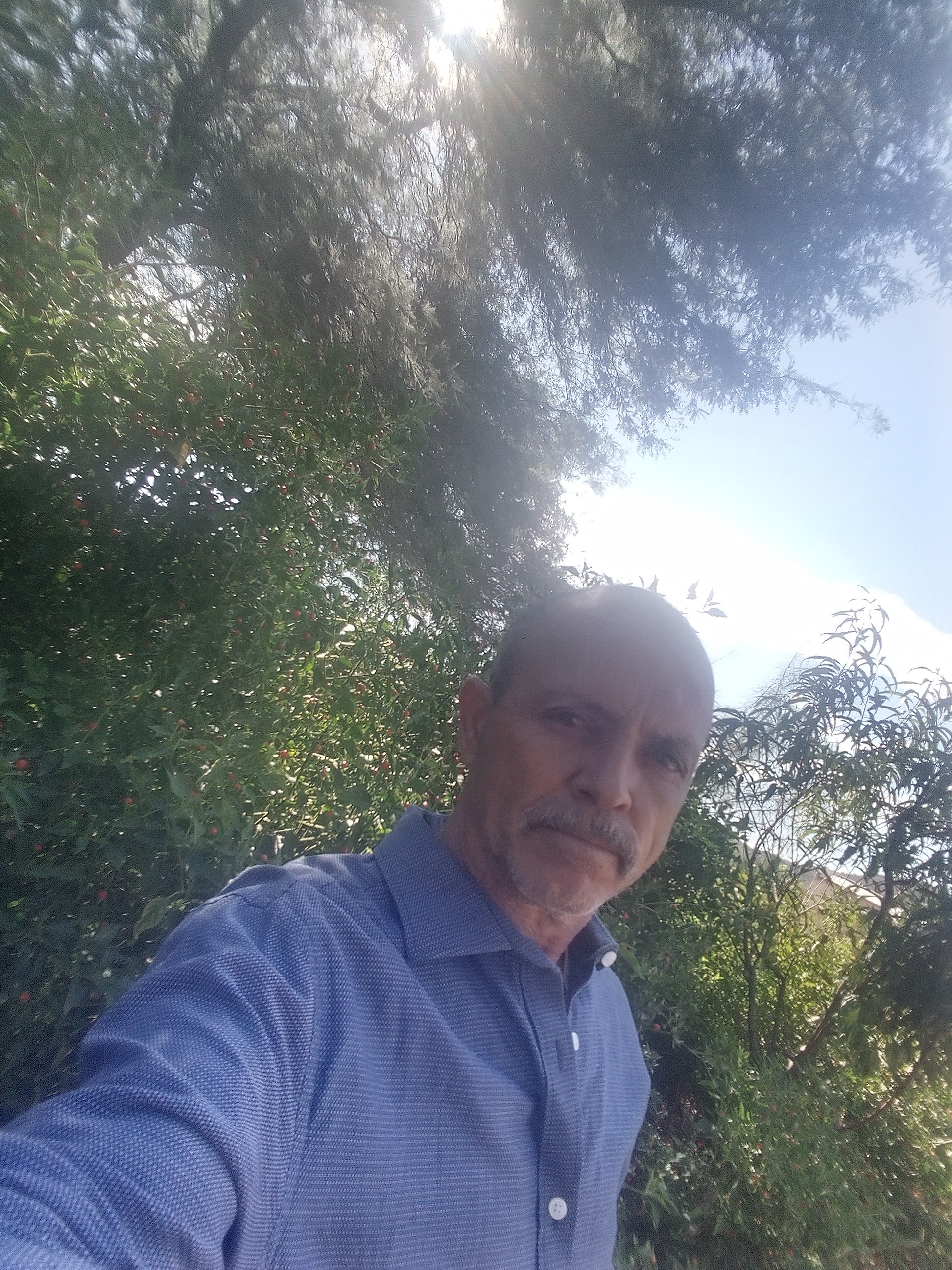 La chiltipinera image 1