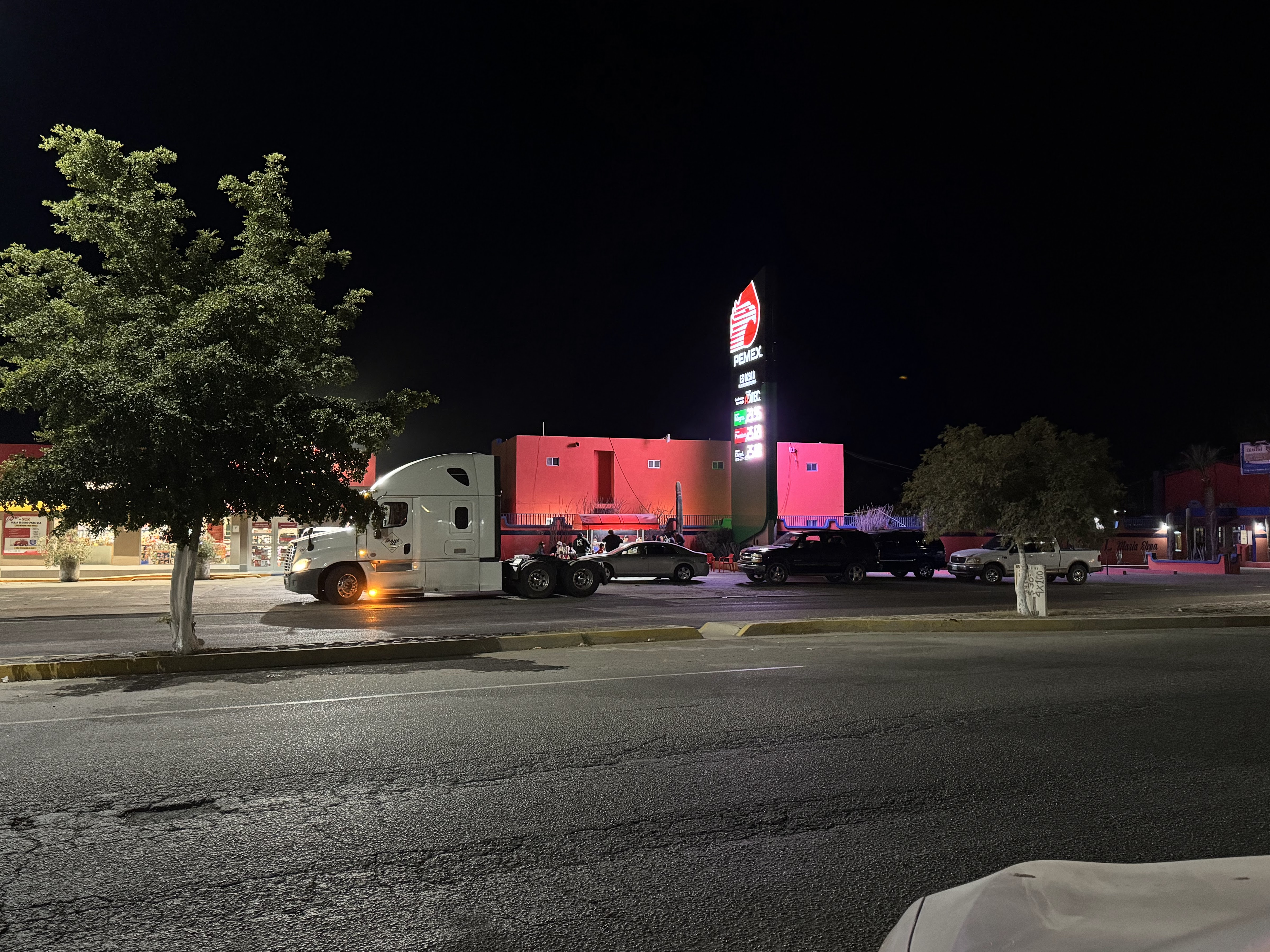 Dogos de La Cabaña image 3