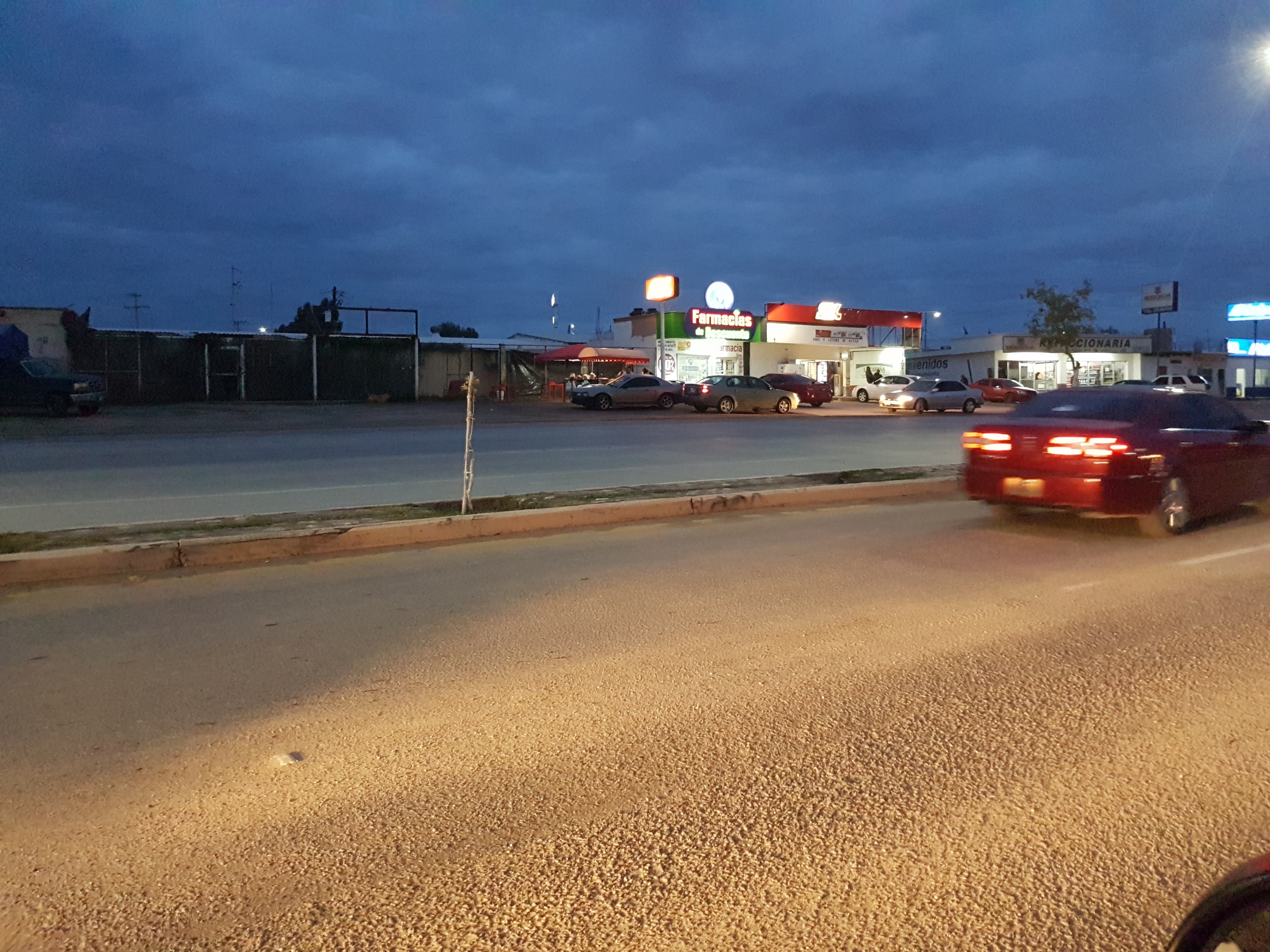 Dogos de La Cabaña image 8