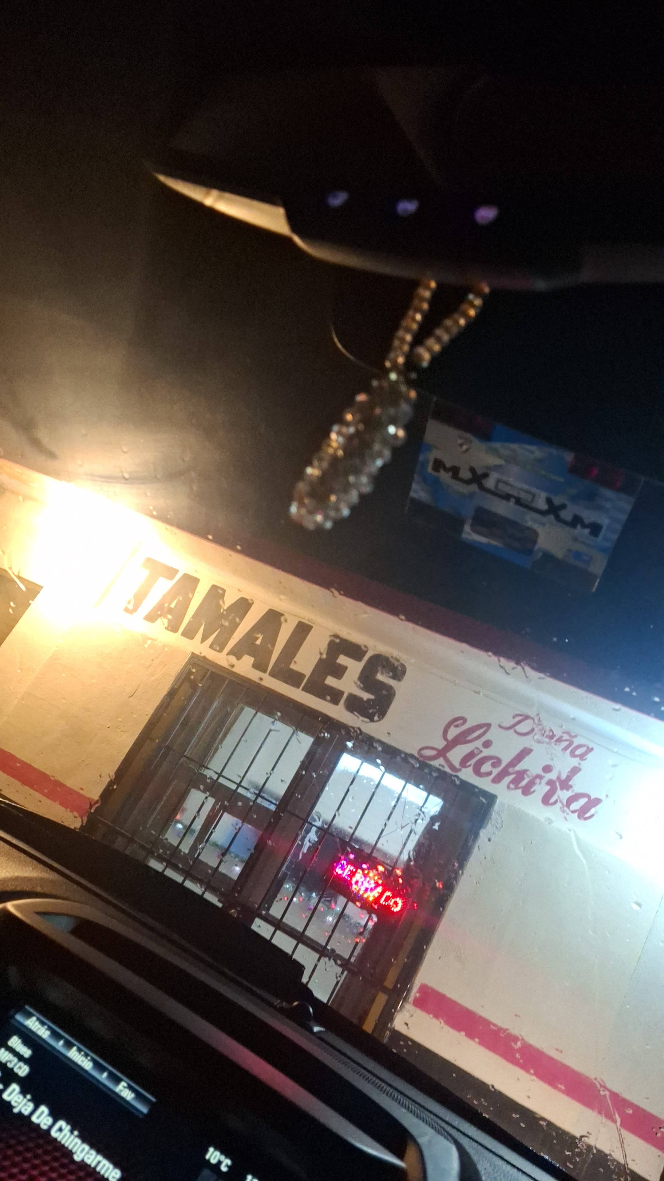 Tamales Doña lichita image 3