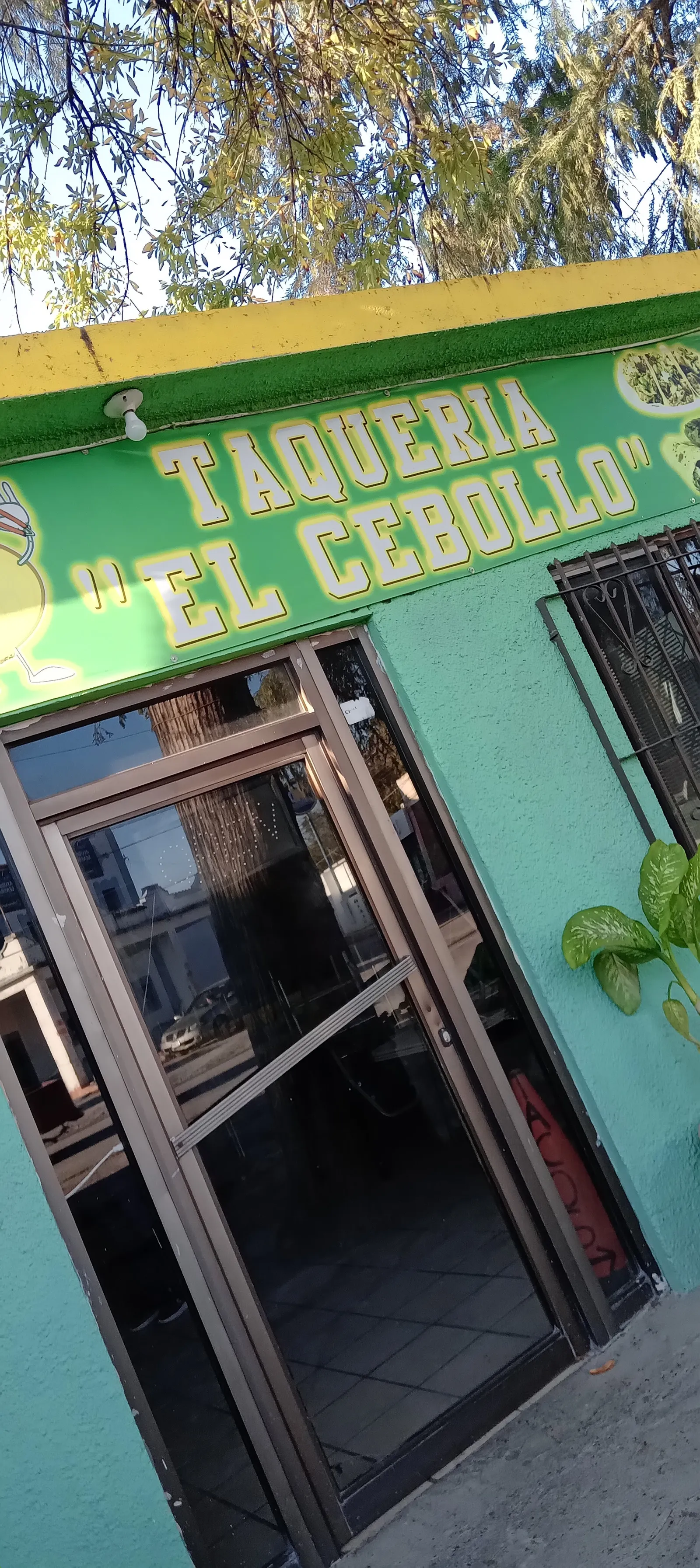 Taquería "El Cebollo" image 7