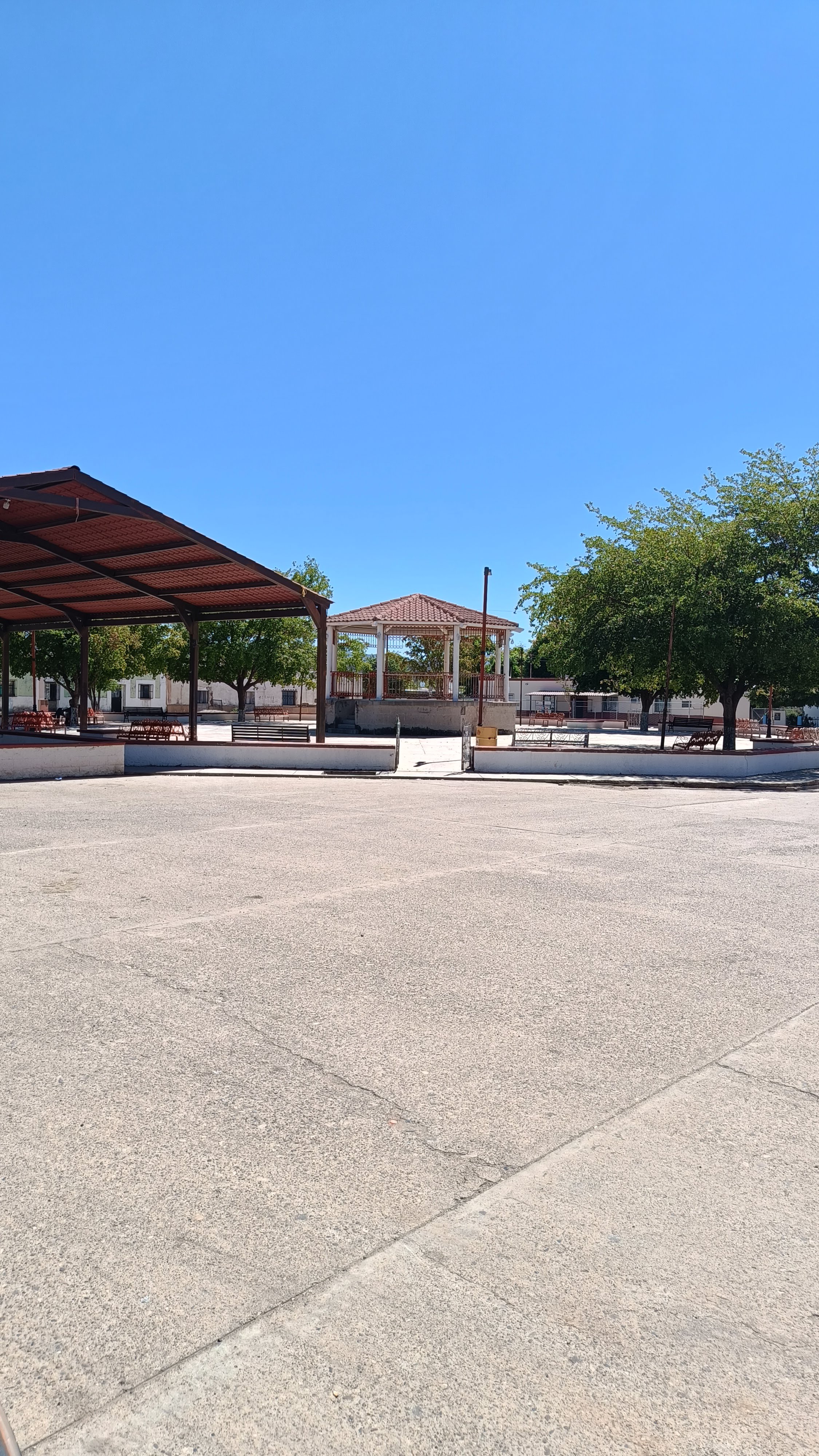 Boneless y hamburguesas "D" image 4