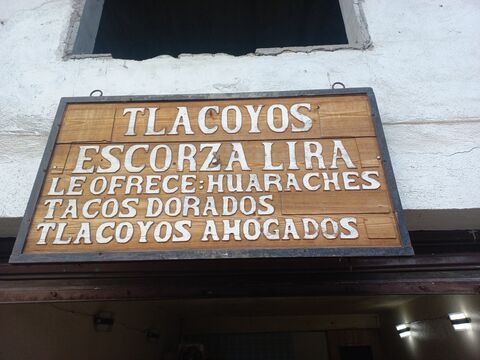 Tlacoyos Escorza Lira image 6