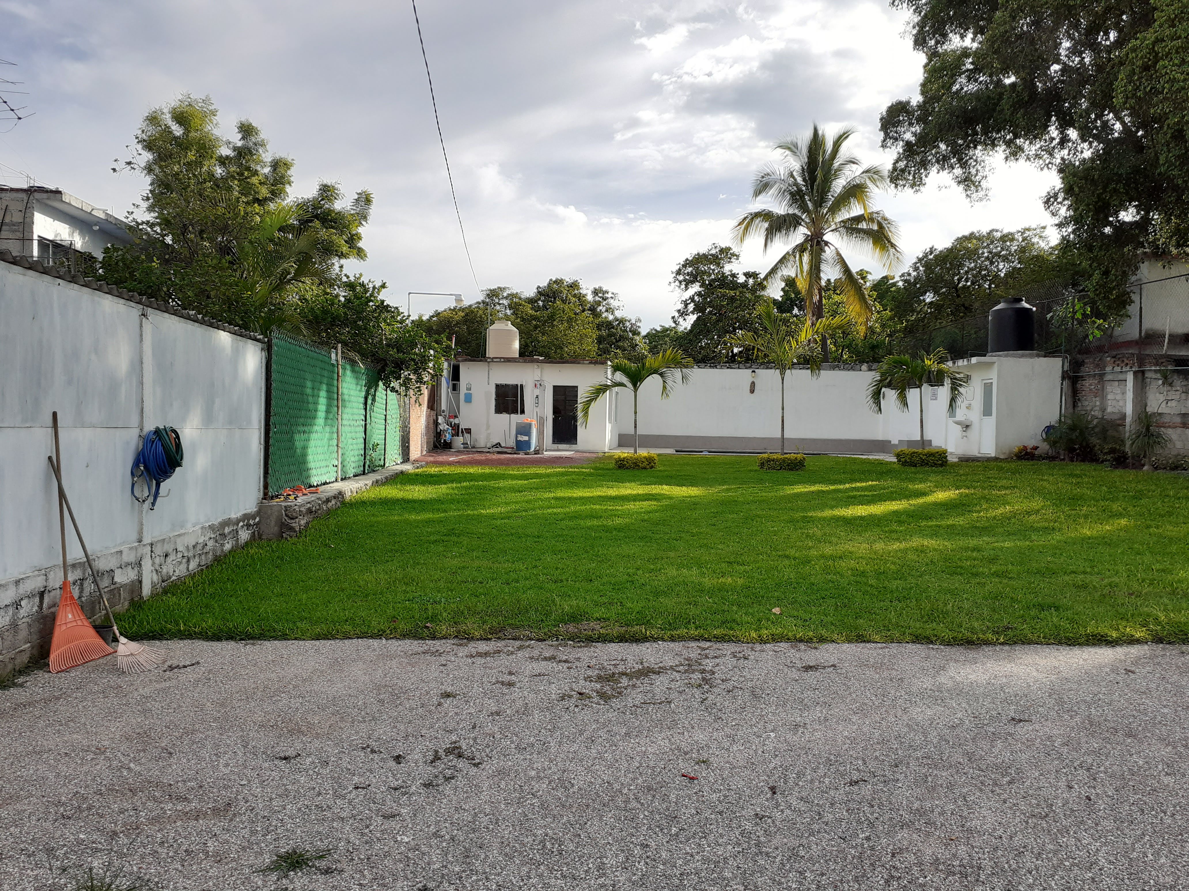 Jardin Magnoliidae image 2