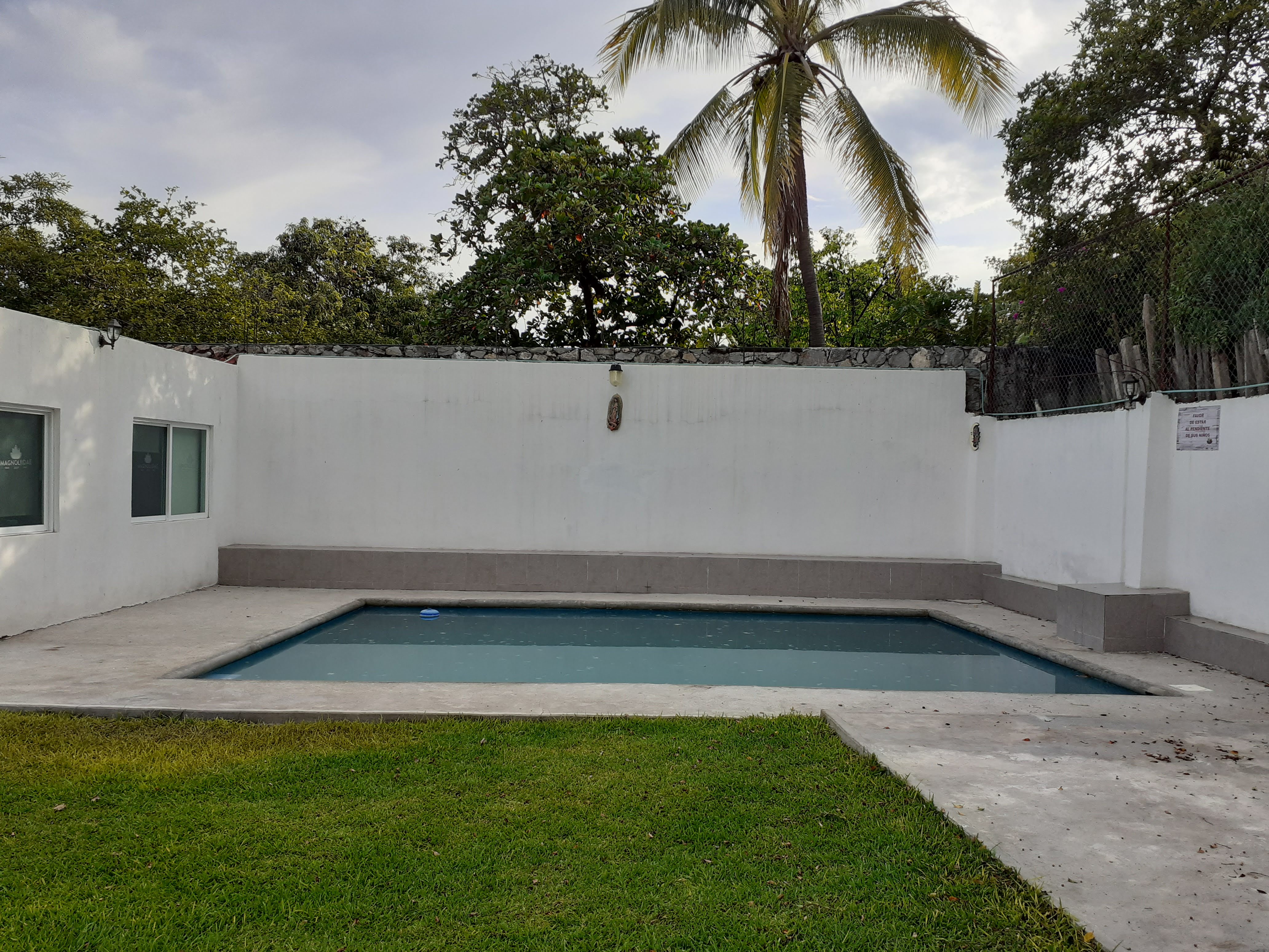 Jardin Magnoliidae image 3