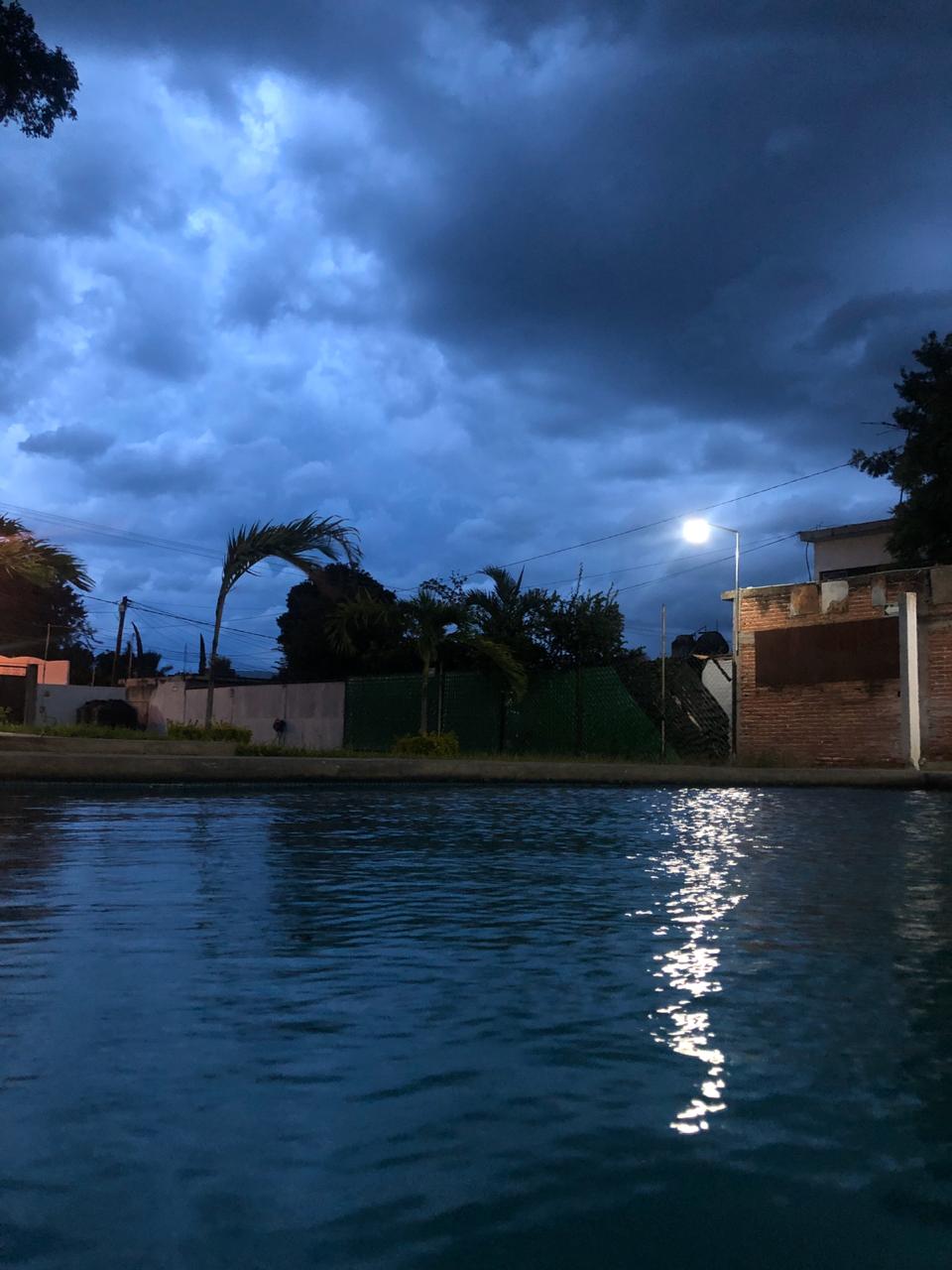 Jardin Magnoliidae image 5