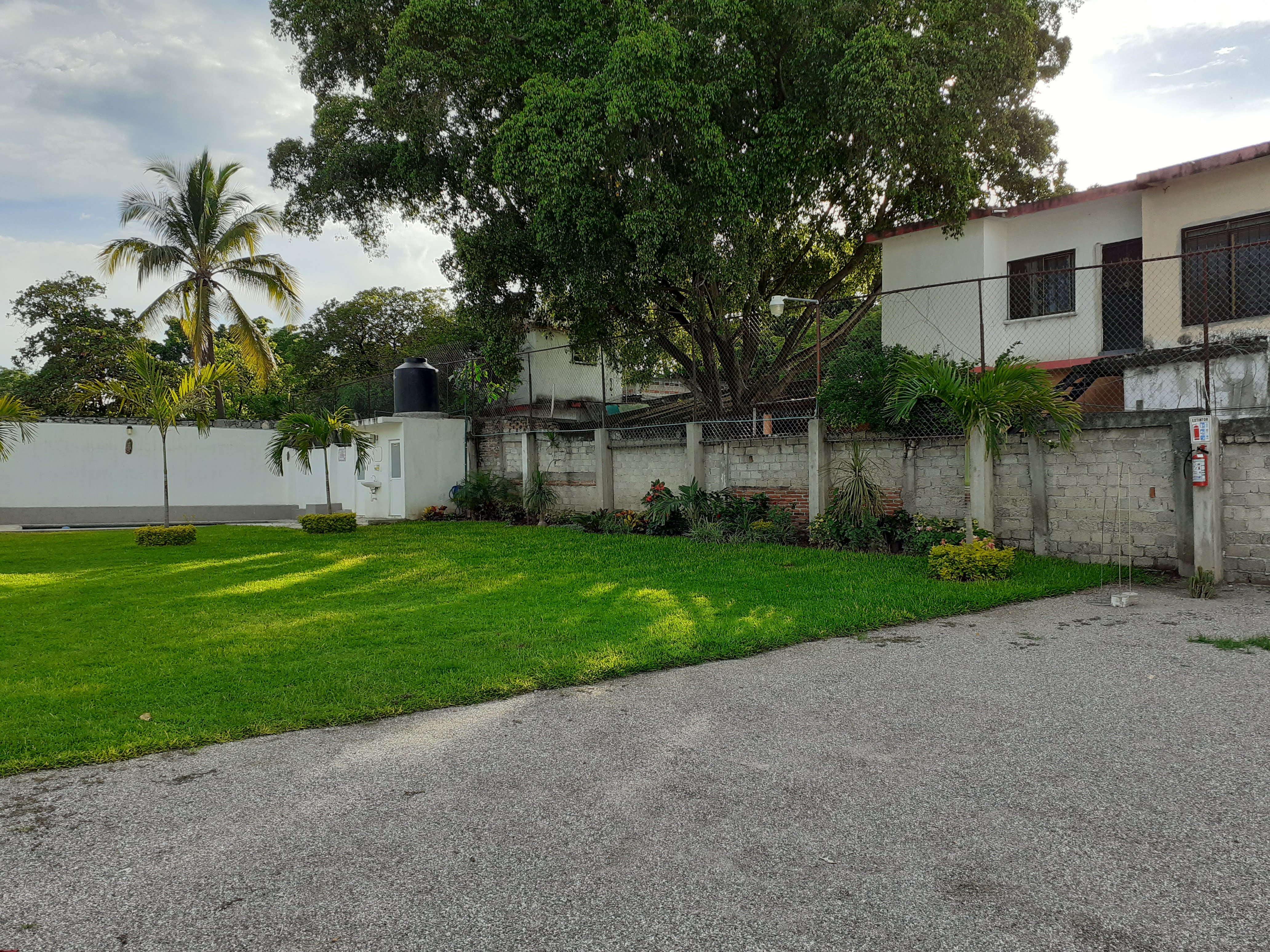 Jardin Magnoliidae image 6