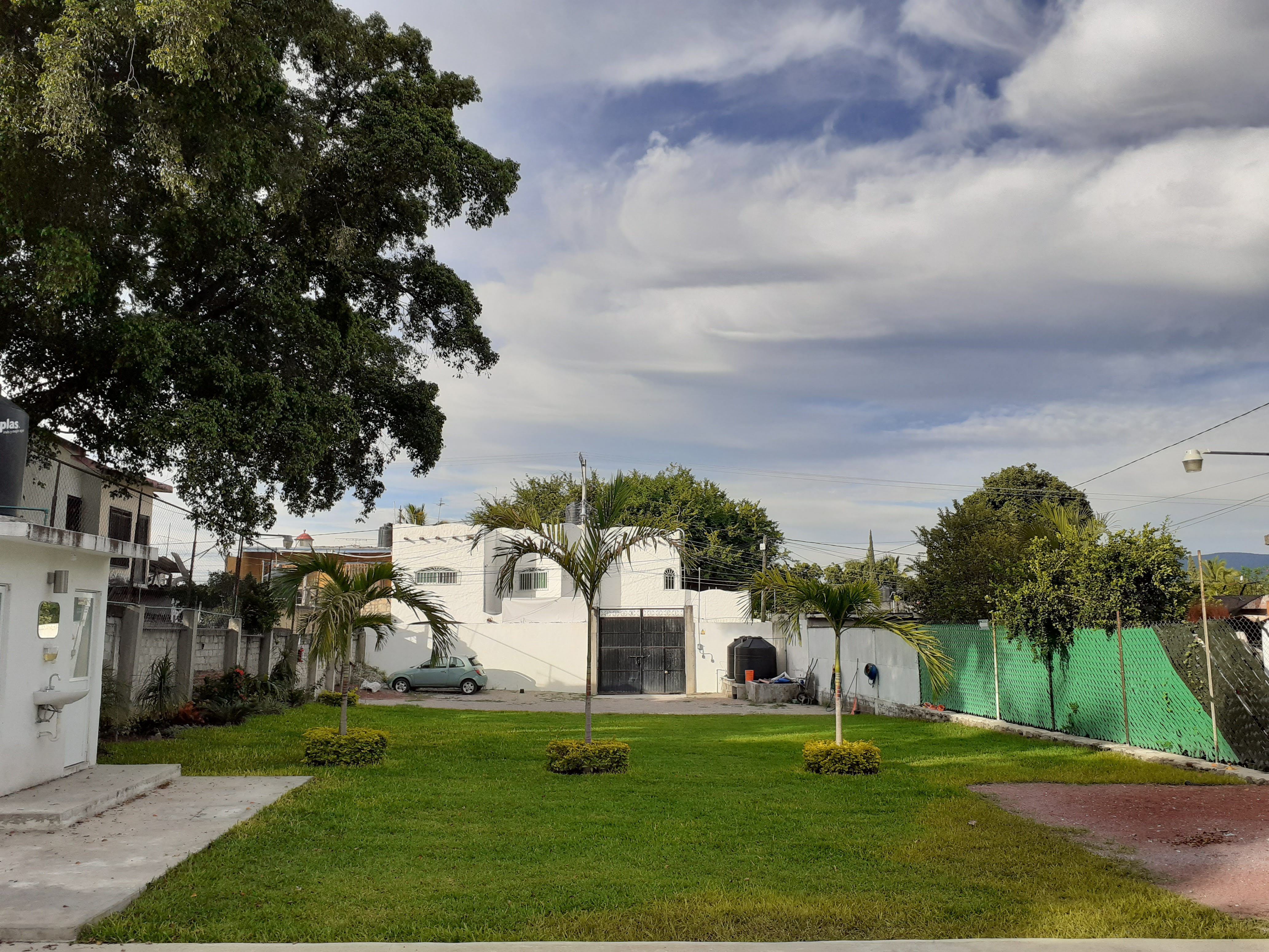 Jardin Magnoliidae image 7