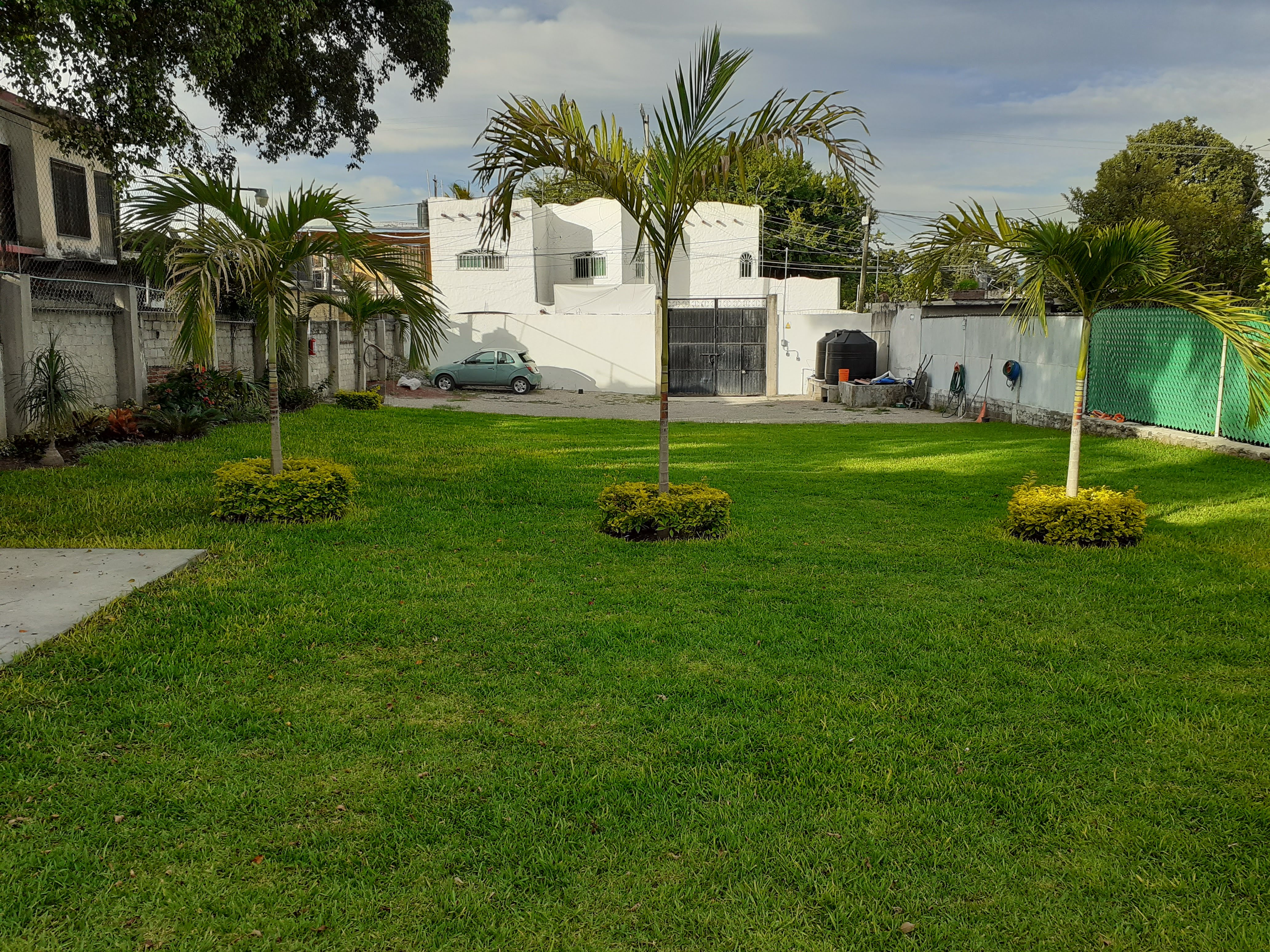 Jardin Magnoliidae image 8