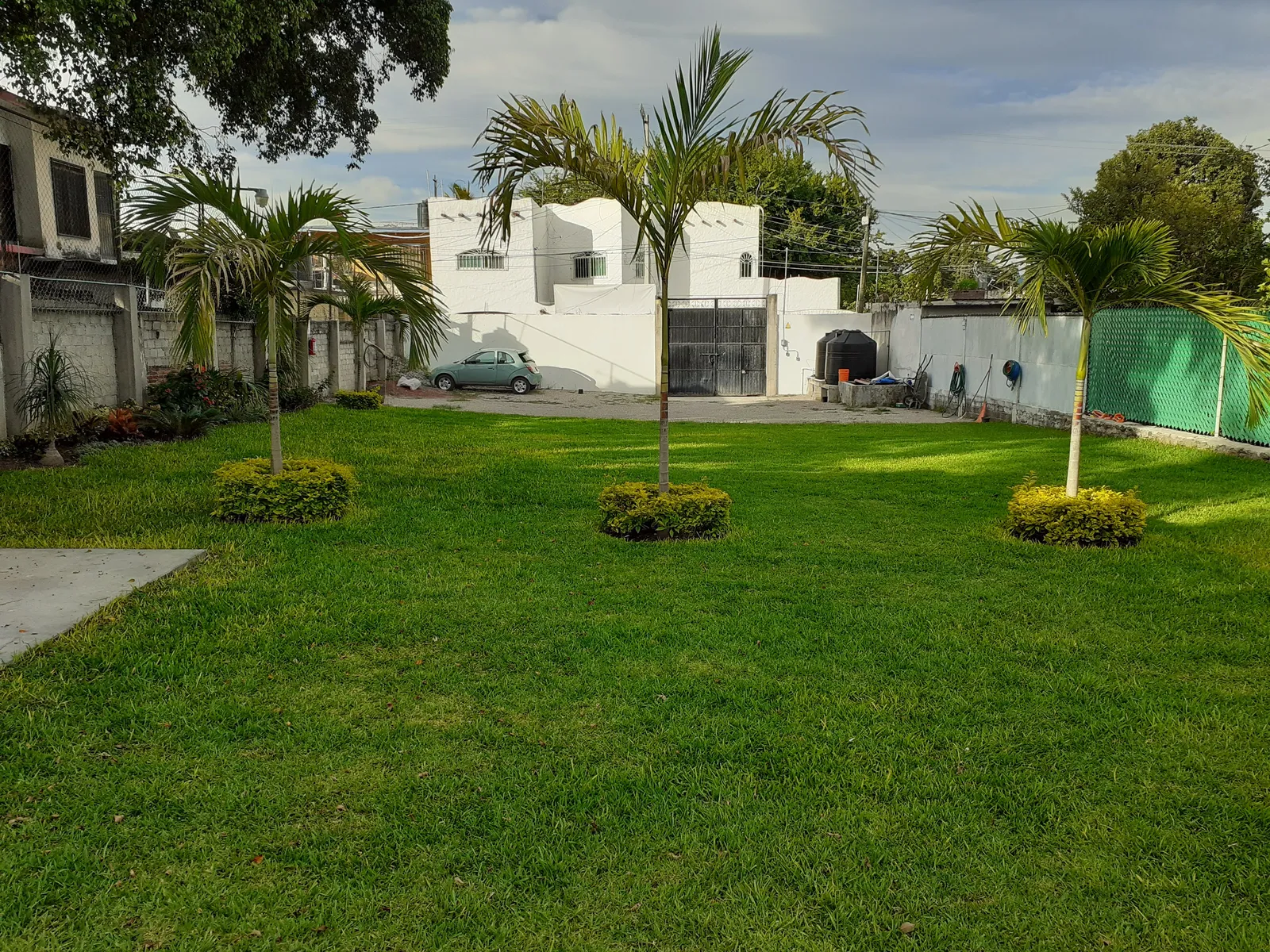 Jardin Magnoliidae image 8