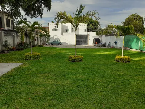 Jardin Magnoliidae image 8