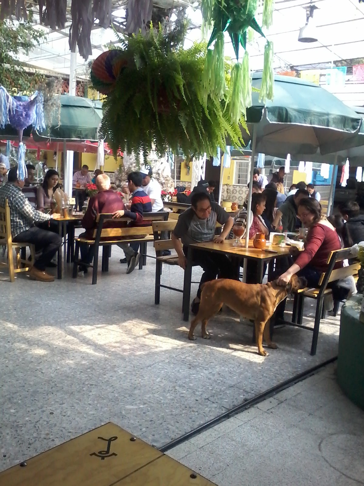 Pulqueria La Palma image 1