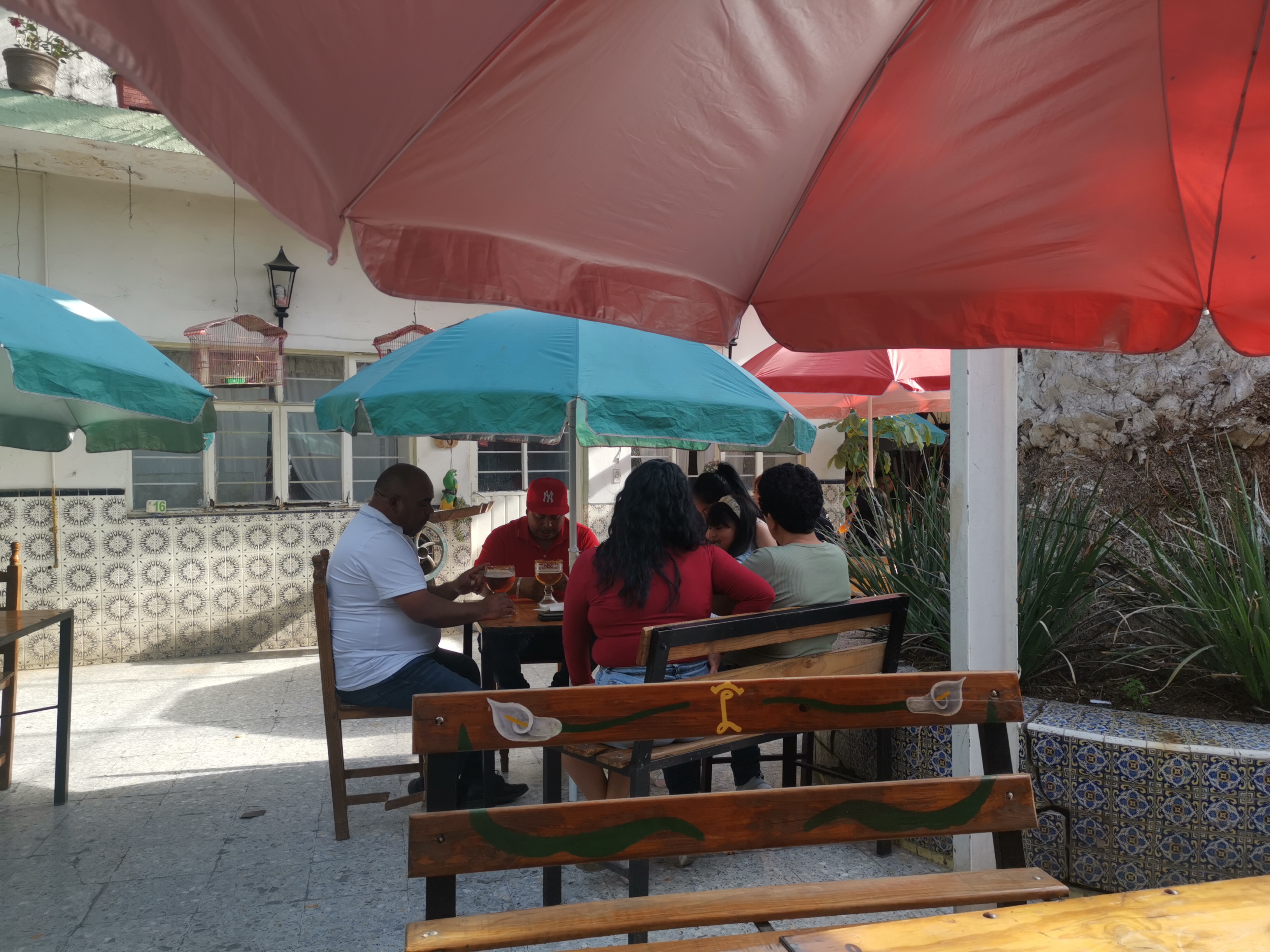 Pulqueria La Palma image 8