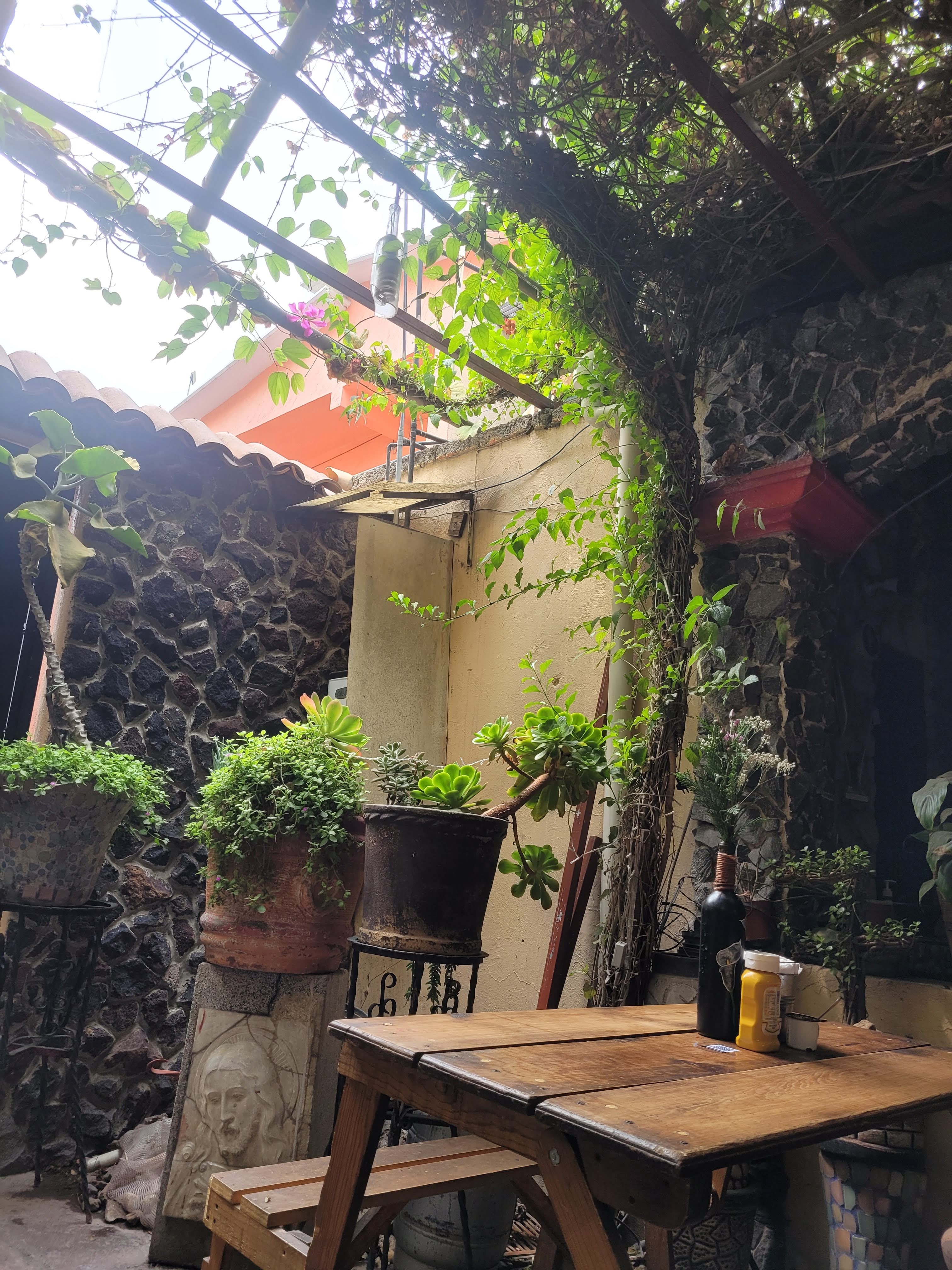 Restaurante SANTA ALGO DIFERENTE image 4