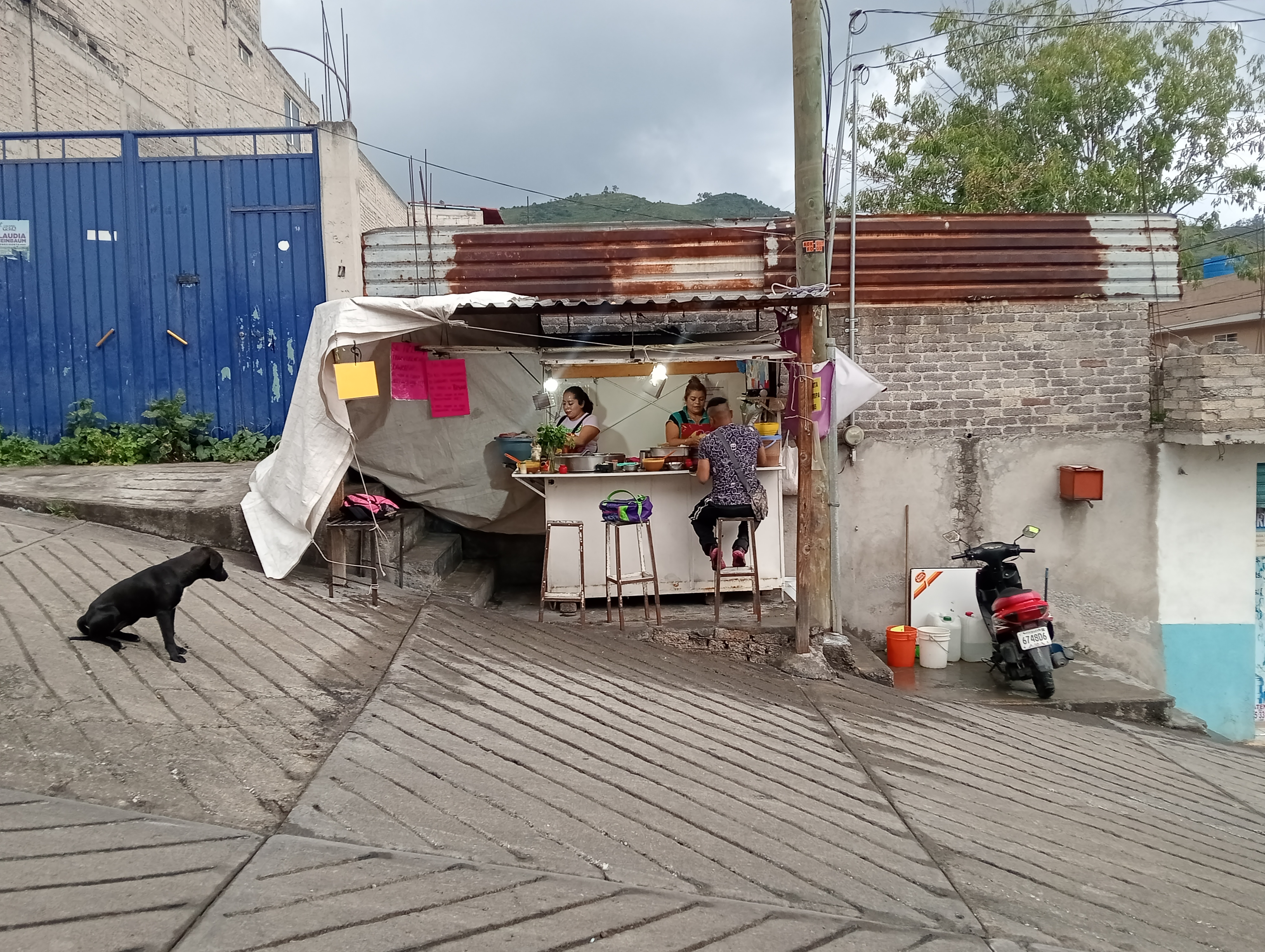 Taquería Alfonso image 4