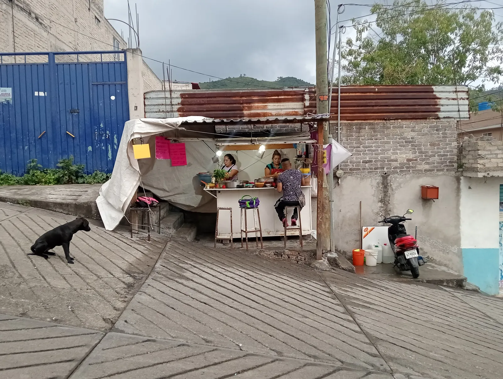 Taquería Alfonso image 4