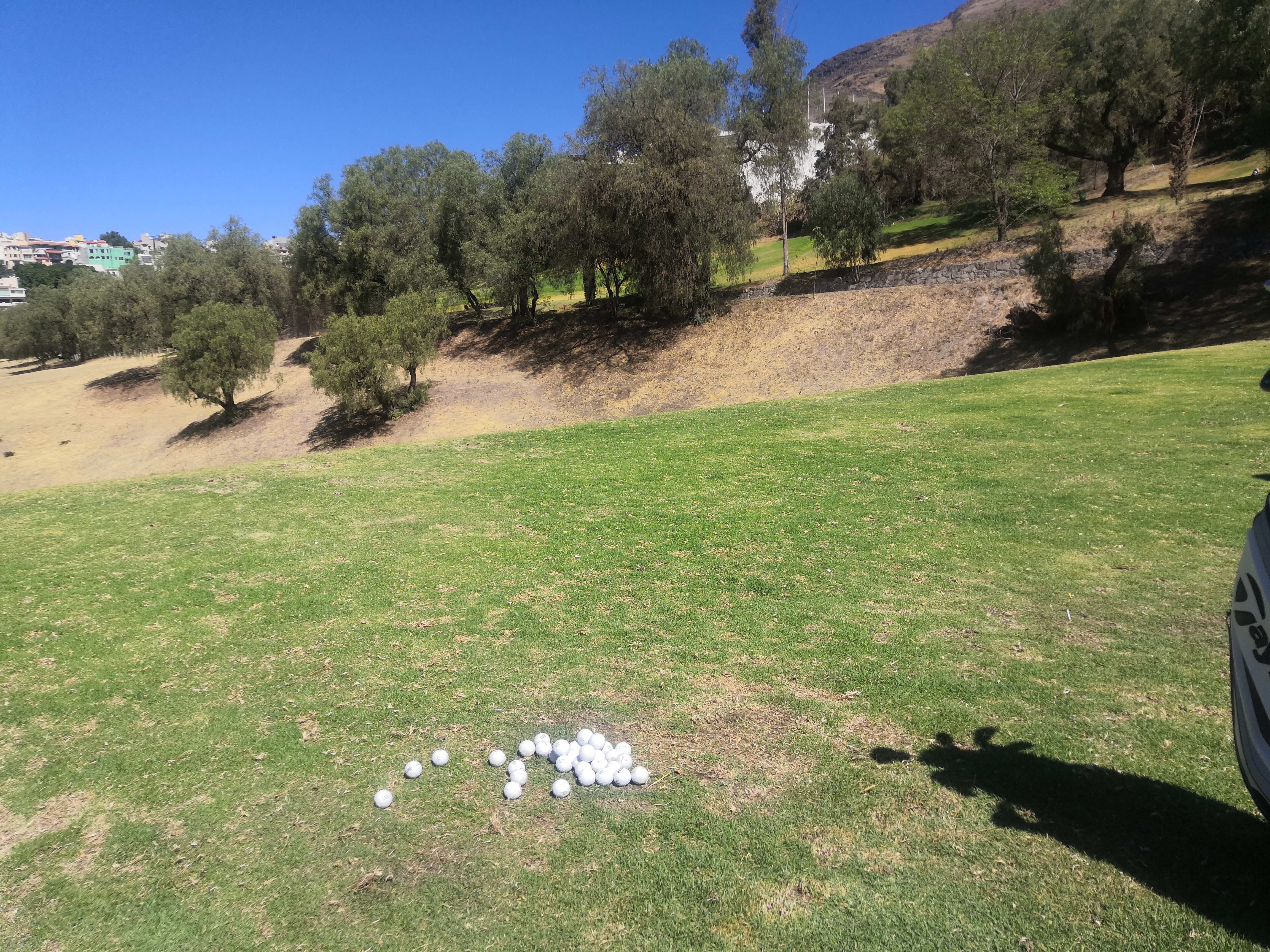 RESTAURANT DE CLUB DE GOLF EL COPAL image 3