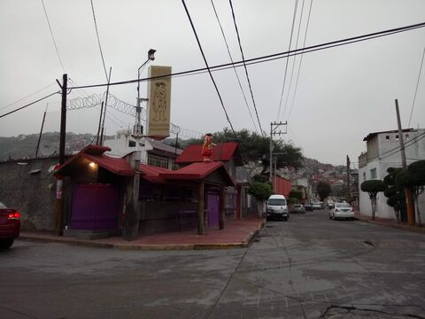 DINO TORTAS image 4